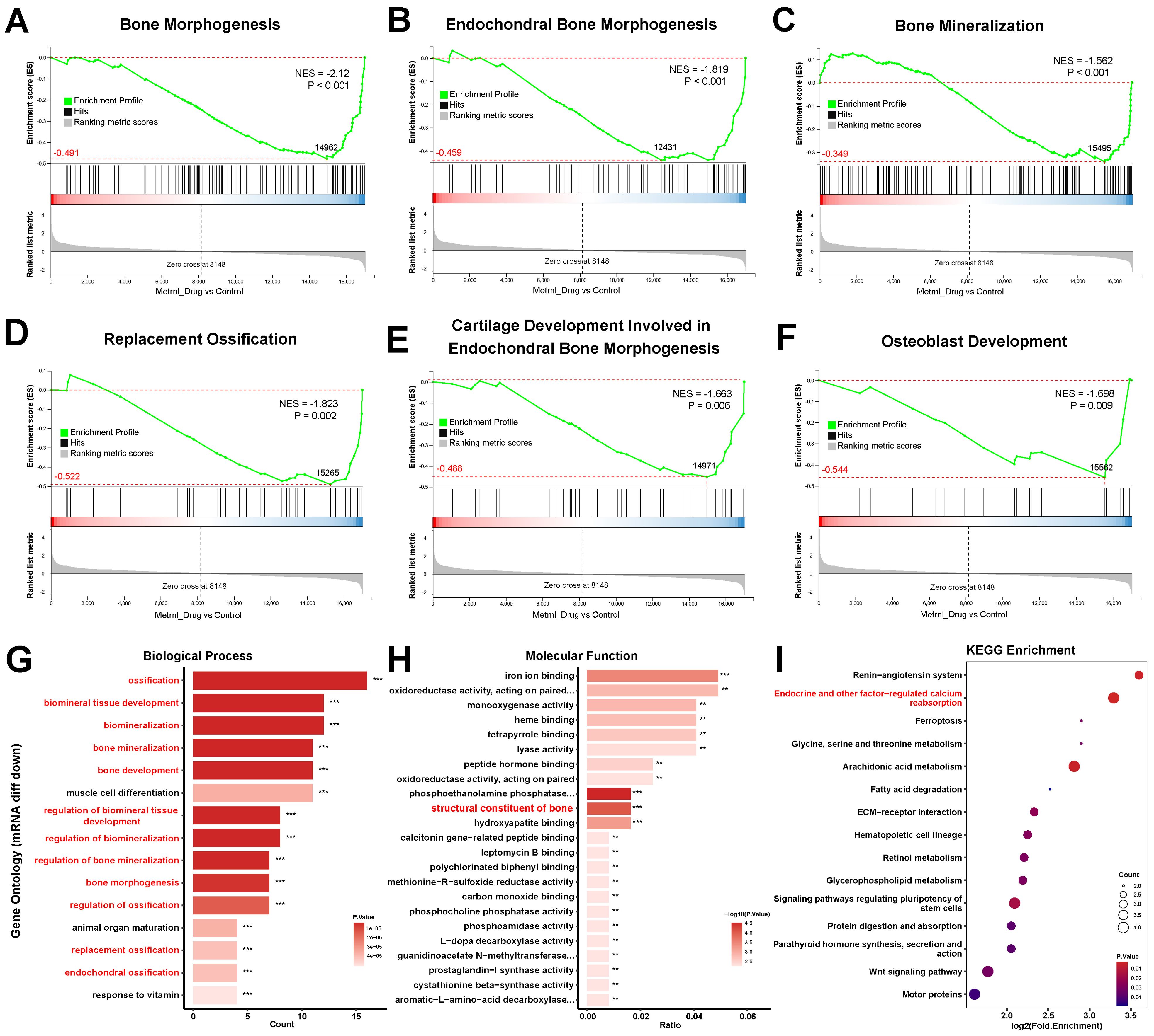 Graphs A to F illustrate enrichment profiles for gene sets related to bone development, with metrics on bone morphogenesis, mineralization, and ossification. Panels G and H show bar charts of gene ontology categories like biological processes and molecular functions, highlighting significant pathways. Panel I depicts a dot plot of KEGG enrichment, indicating pathways like the renin-angiotensin system with varying log2 fold enrichment levels. Each graph includes details like normalized enrichment scores and p-values.