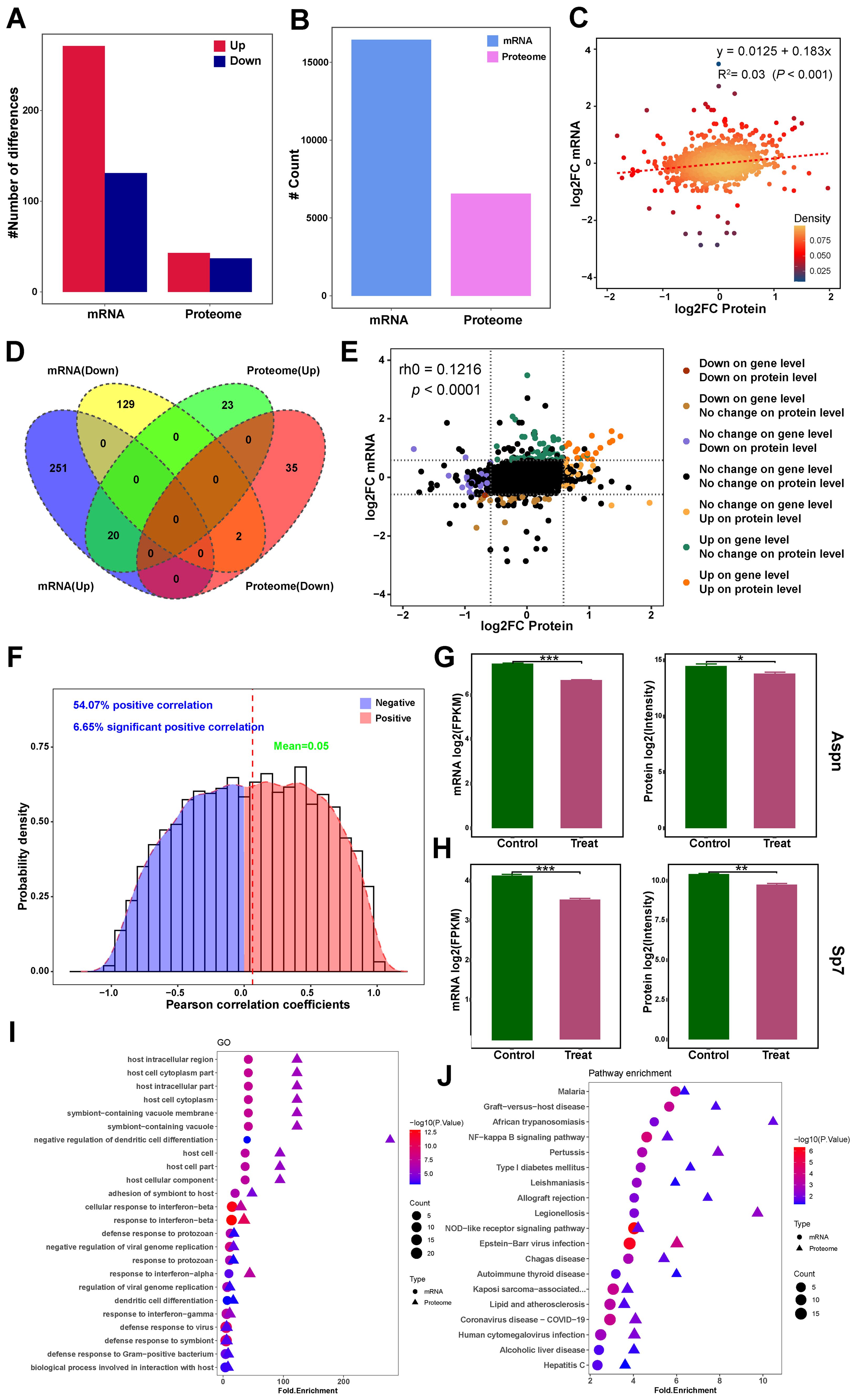 The image contains multiple panels showing data analysis results on mRNA and proteome. Panel A shows a bar graph of differences in mRNA and proteome, divided into “Up” and “Down.” Panel B presents a count comparison between mRNA and proteome. Panel C is a scatter plot of log2 fold changes with a regression line. Panel D features a Venn diagram comparing mRNA and proteome data. Panel E shows a scatter plot with correlation details. Panel F is a histogram of Pearson correlation coefficients. Panels G and H feature bar graphs comparing mRNA and protein levels under control and treatment conditions. Panel I and J present enriched gene ontology and pathway enrichment using dot plots.