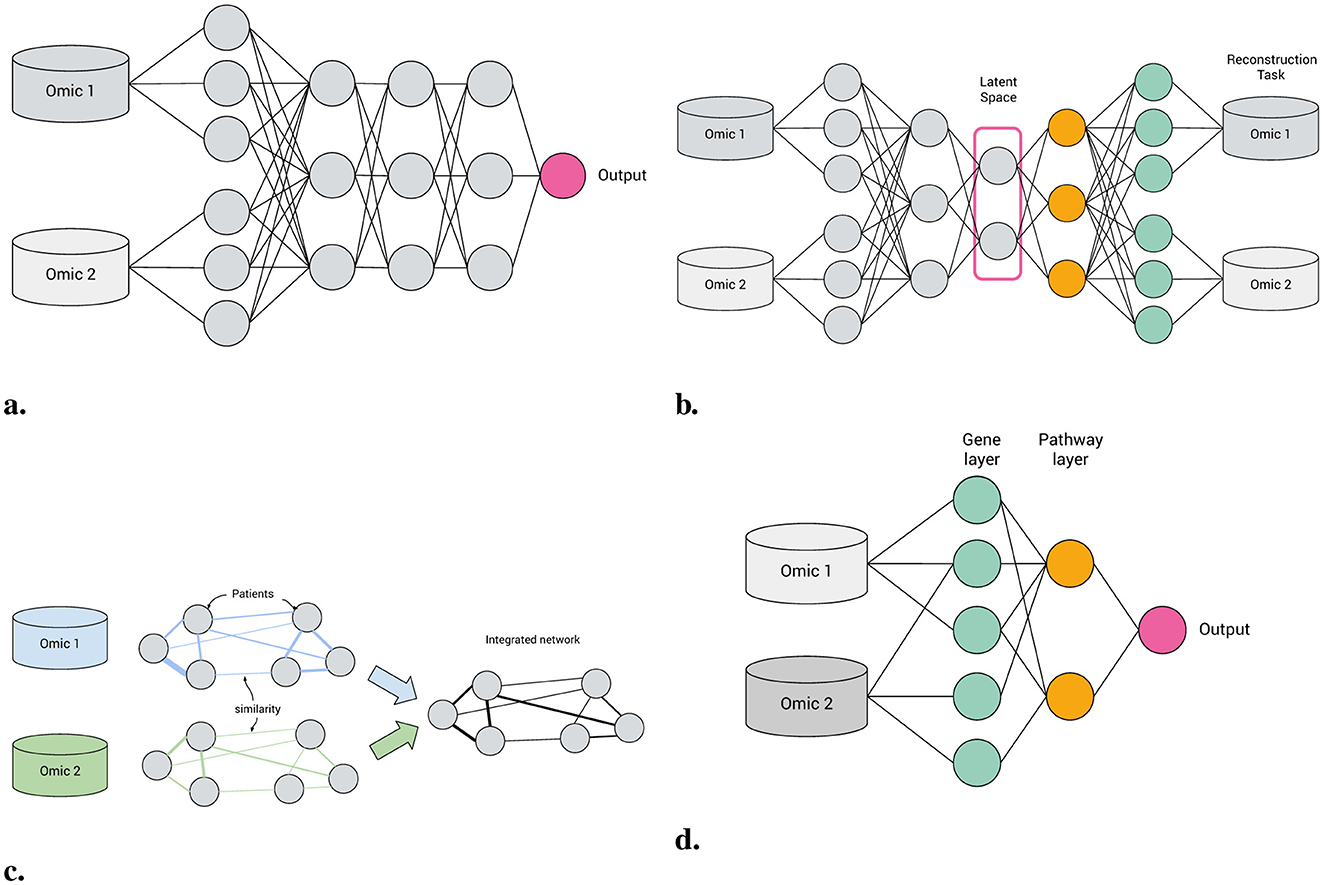 (a) Feedforward neural network with two omic inputs connected to a single output through multiple layers of nodes. (b) Autoencoder displaying omic inputs, latent space, and reconstruction task with parallel processing. (c) Patient similarity network illustrating omic data integration with a focus on patient similarity. (d) Biologically-informed visible neural network with omic inputs processed through gene and pathway layers leading to an output.