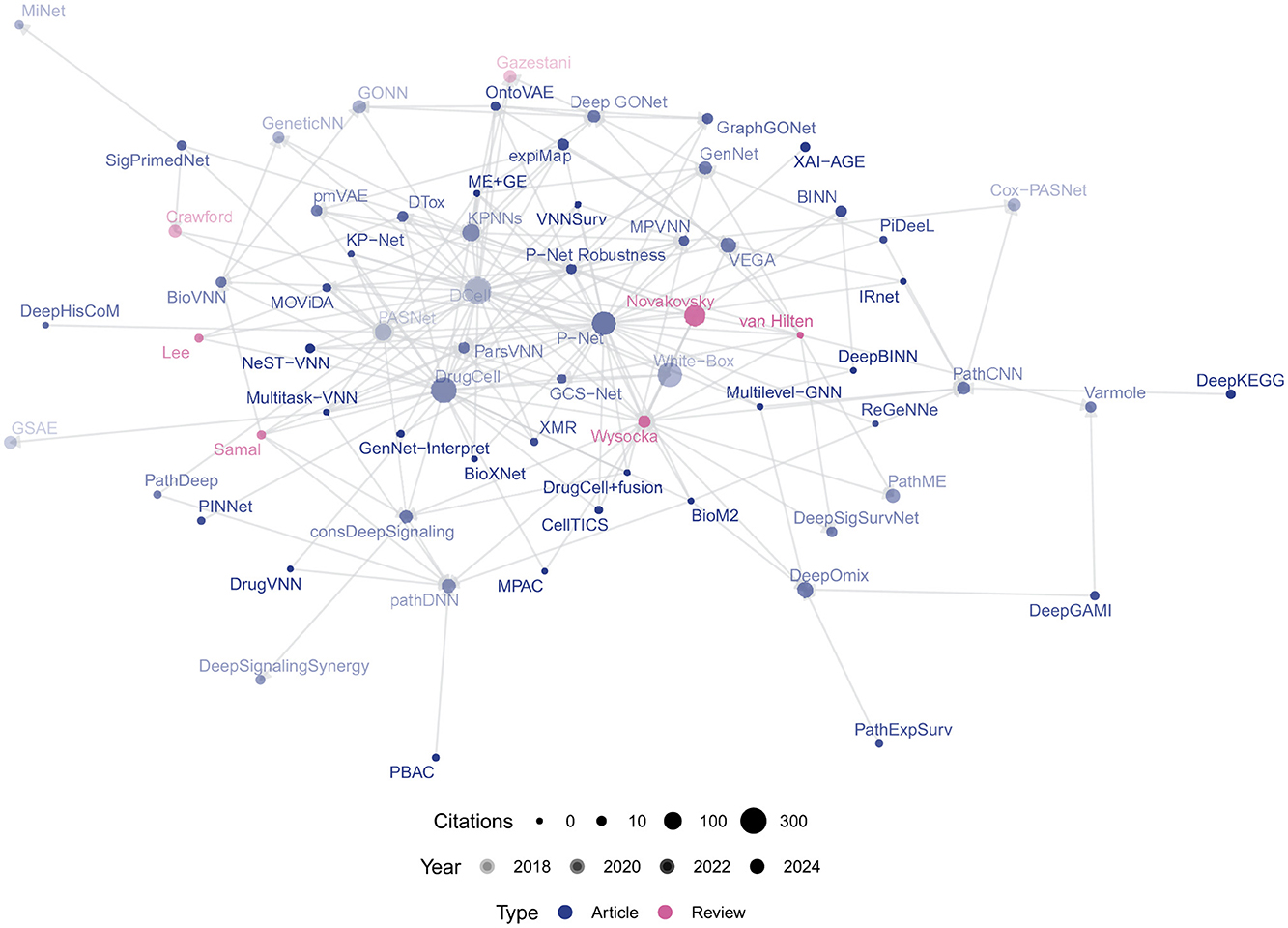 Network diagram illustrating citation relationships between nodes representing published papers, labeled with names like BioVNN, DrugCell, and DeepOmix. Nodes are color-coded by type: articles (blue) and reviews (pink) with size representing citation numbers. Lines indicate citation relationships, with years ranging from 2018 to 2024 based on node colors.