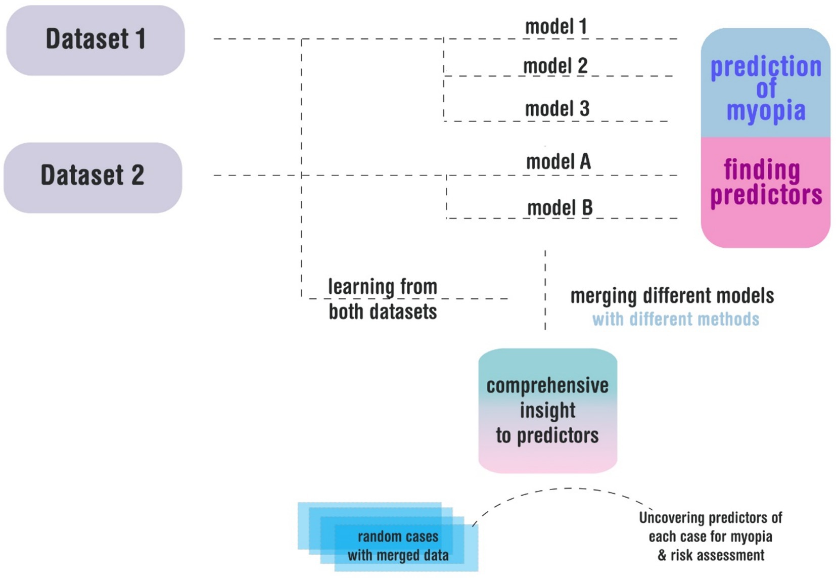 Flowchart illustrating the process of predicting myopia and finding predictors. Dataset 1 leads to models 1, 2, and 3. Dataset 2 leads to models A and B. These models contribute to a combined prediction of myopia and identification of predictors. The chart shows learning from both datasets, merging different models, and gaining comprehensive insight into predictors. There are random cases with merged data for uncovering predictors for myopia and risk assessment.