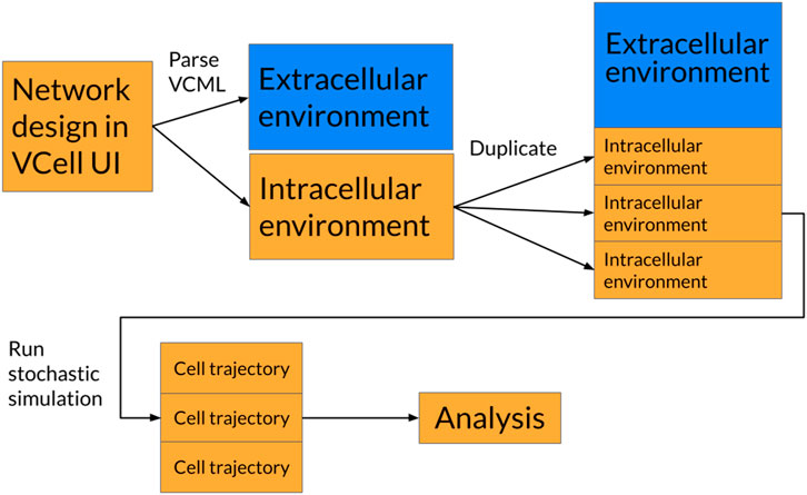 Diagram illustrating a simulation process in VCell. It starts with