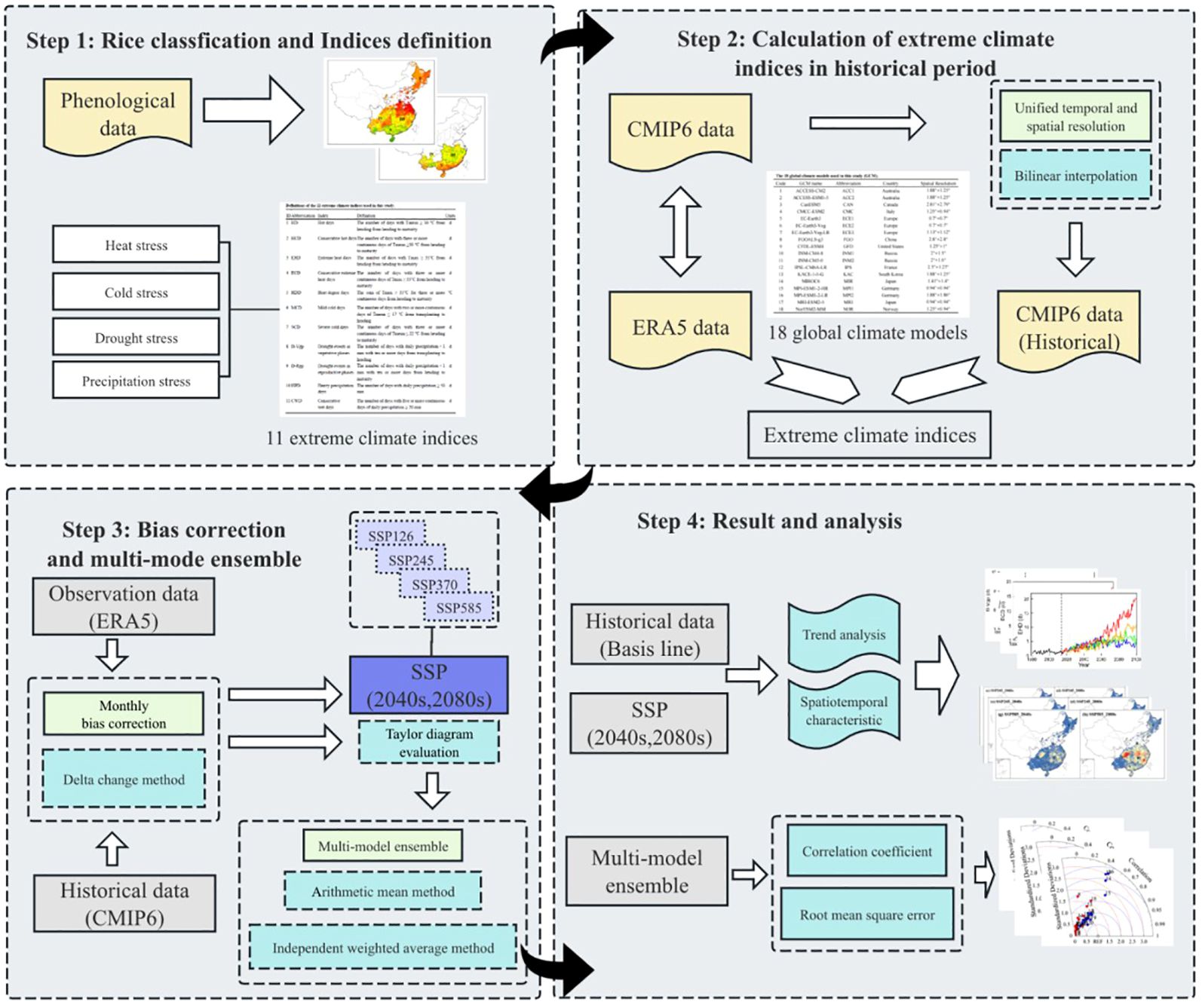 Flowchart detailing the process for analyzing rice classification and climate indices over four steps. Step 1 involves rice classification and defining indices using phenological data to assess heat, cold, drought, and precipitation stress. Step 2 focuses on calculating climate indices for historical periods using CMIP6 and ERA5 data. Step 3 involves bias correction and creating multi-model ensembles with observational and historical data. Step 4 presents results and analysis, detailing trend analysis, spatiotemporal characteristics, and evaluation using correlation coefficients and root mean square error. Visuals and charts accompany each step for clarification.