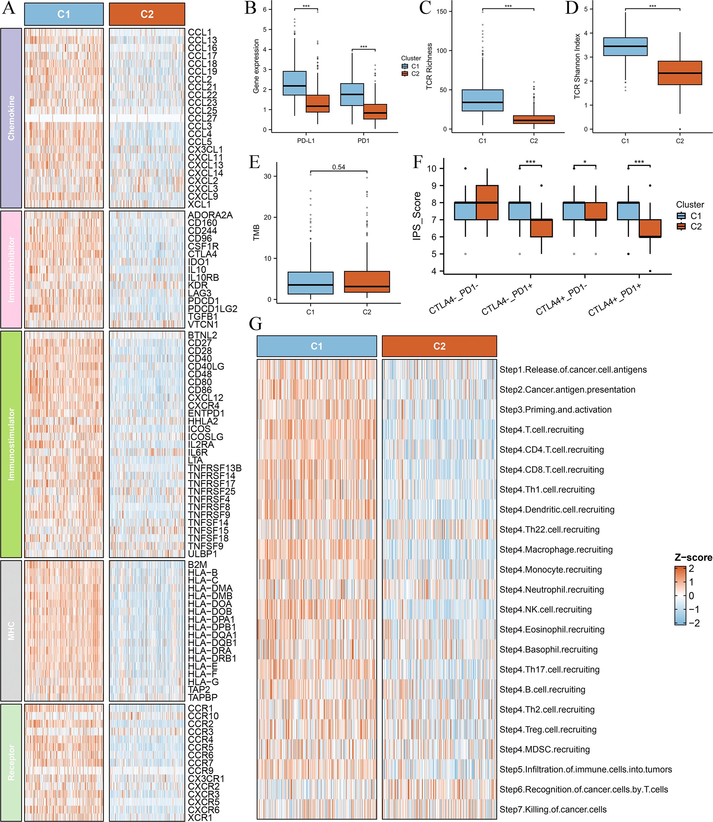 Grouped figures display data analysis related to cancer research. Panel A shows a heatmap comparing clusters C1 and C2 for different gene expressions. Panels B to F feature box plots comparing various metrics such as gene expression, TCR richness, TCR Shannon index, TMB, and IPS score between C1 and C2. Panel G shows a heatmap of immune processes with corresponding Z-scores for both clusters. Clusters are visually distinguished by colors in graphs and heatmaps.