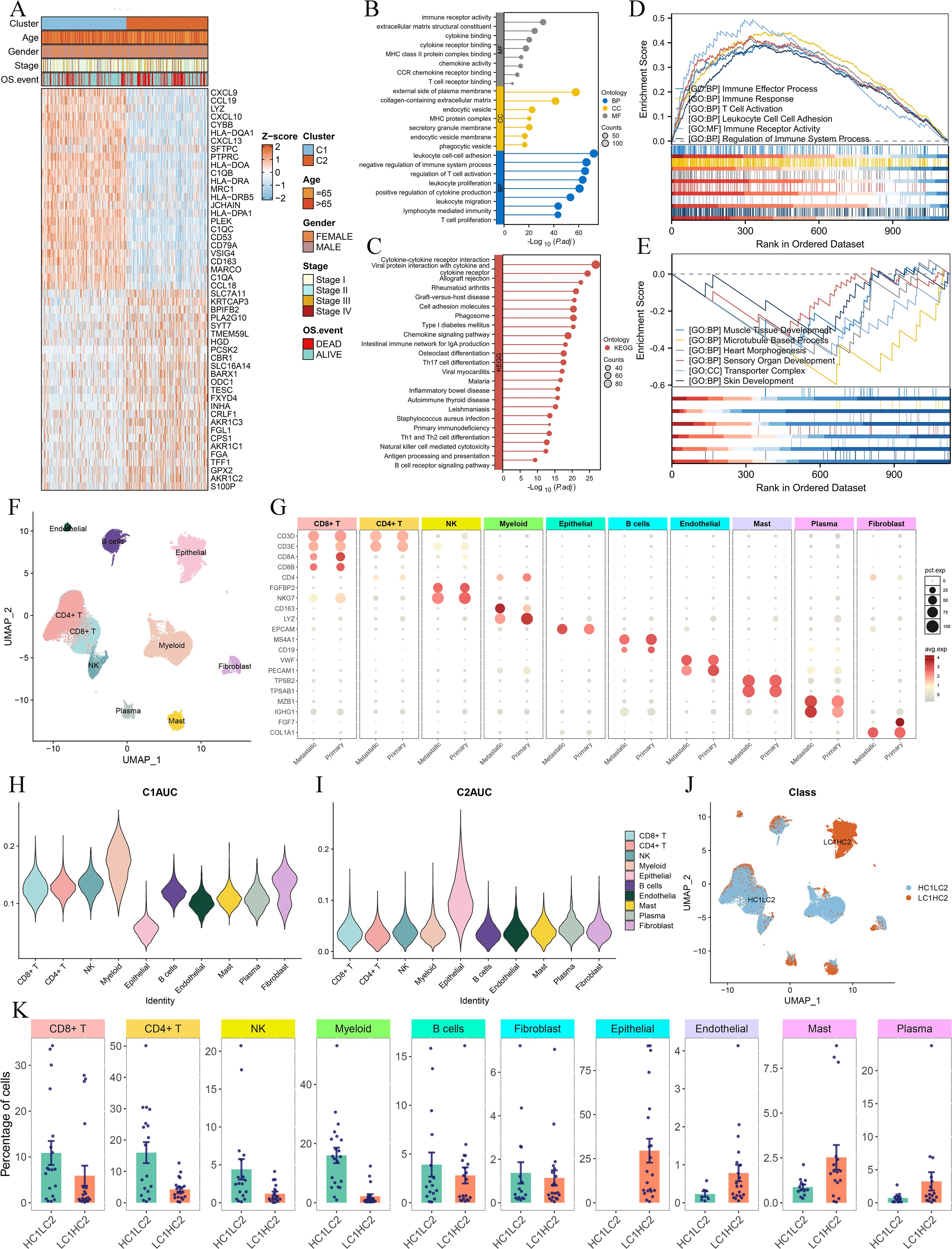 Heatmap displays gene expression across clusters by age, gender, stage, and survival event. Bar charts show ontology enrichment analysis. Line plots illustrate enrichment scores over dataset rank. UMAP plots depict cluster distributions; one colored by cell type and another by class. Dot and violin plots present cell type correlations and AUC scores. Bar graphs show percentage of cell types in different conditions.