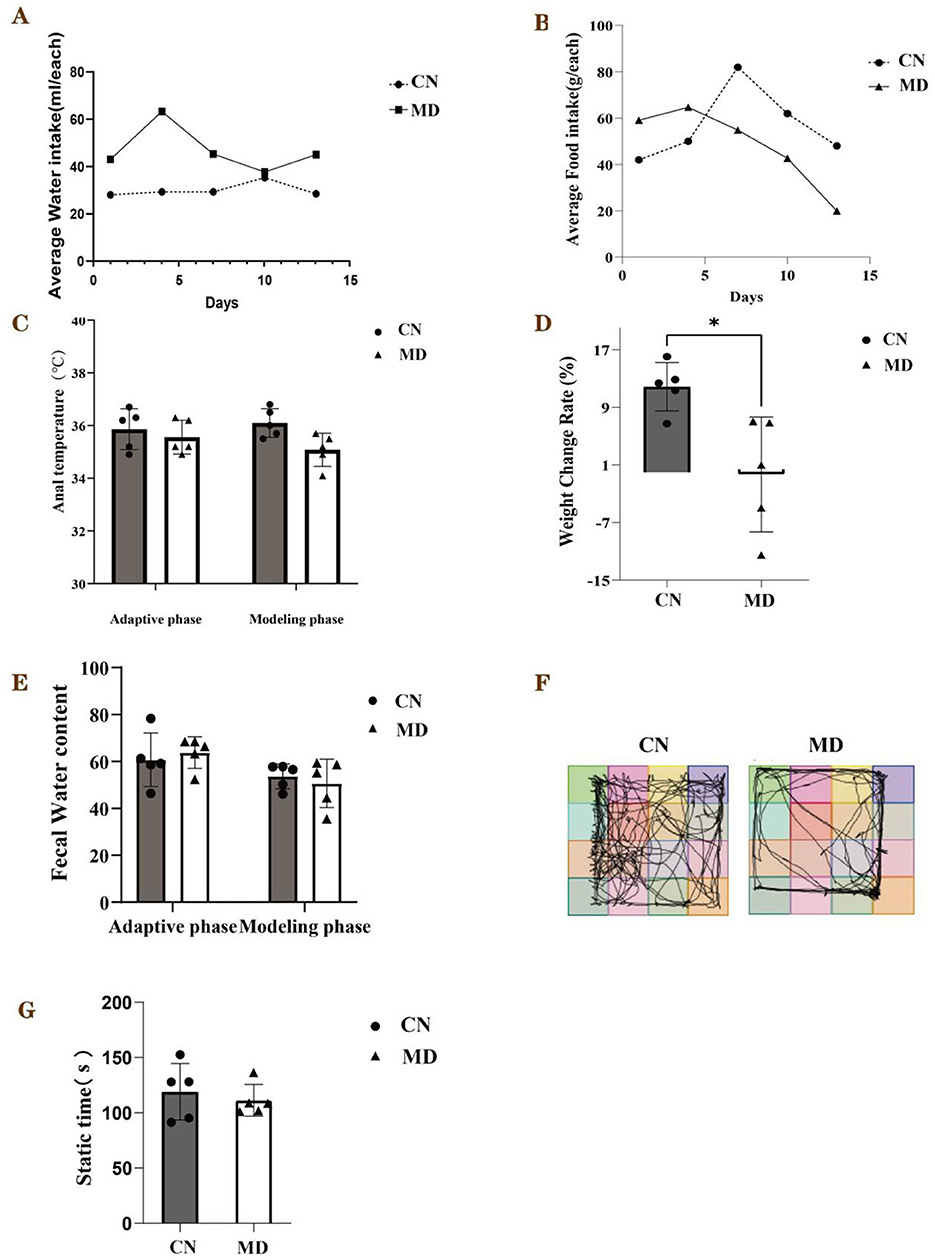 Graphs titled A to G compare CN and MD groups across various metrics. A and B show average water and food intake over 15 days, respectively. C compares anal temperature during adaptive and modeling phases. D indicates a significant weight change rate difference. E presents fecal water content across phases. F shows path traces in colored grids for both groups. G displays static time in seconds. CN is marked by circles, MD by triangles.