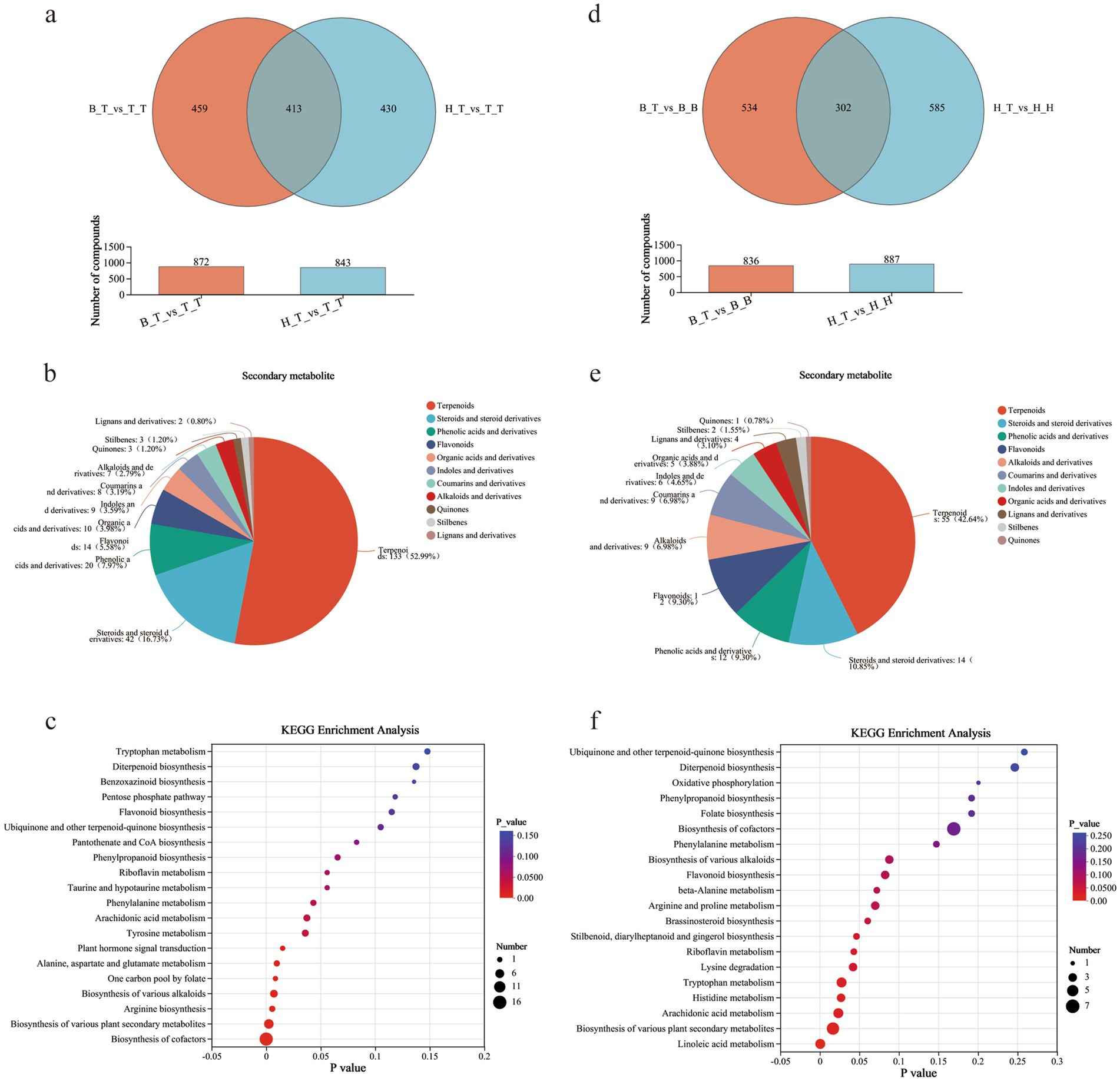 The image contains six panels showing data analyses. Panels (a) and (d) are Venn diagrams comparing the number of compounds between two groups, with bar charts showing total compounds below each. Panels (b) and (e) are pie charts displaying the distribution of secondary metabolites in various categories. Panels (c) and (f) are KEGG Enrichment Analysis scatter plots, illustrating metabolic pathways with the size and color of dots indicating the number of compounds and P-value significance respectively.