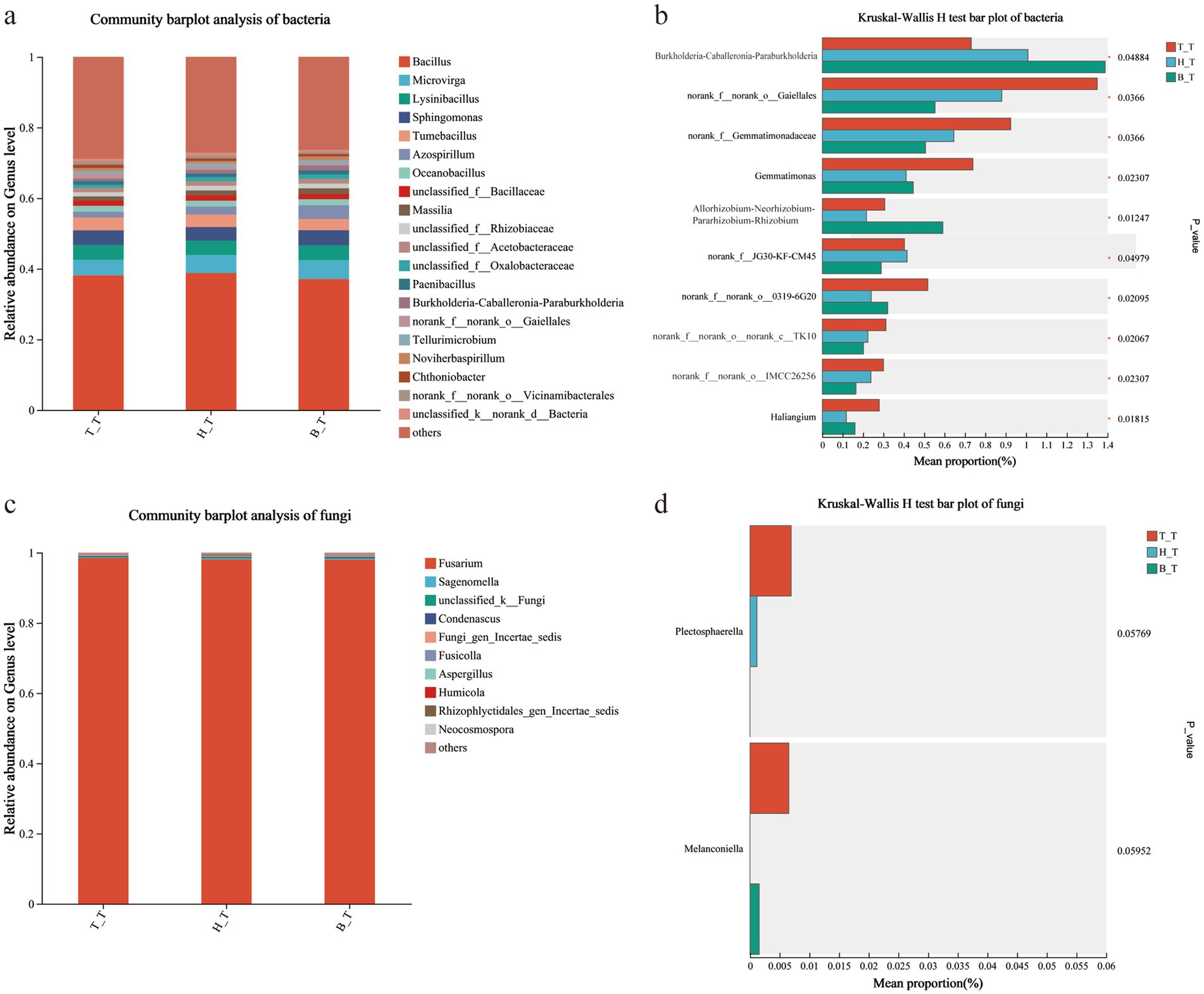 Bar charts showing community analyses of bacteria and fungi. (a) Displays the relative abundance of different bacterial genera in treatments T_T, H_T, and B_T, with various microbial genera color-coded.(b) Kruskal-Wallis test bar plot for bacteria, presenting mean proportions and significance values for different bacterial taxa across the treatments.(c) Shows relative abundance of fungal genera in the same treatments, dominated by Fusarium.(d) Kruskal-Wallis test results for fungi, highlighting significant proportions of Plectosphaerella and Melanconiella across treatments.