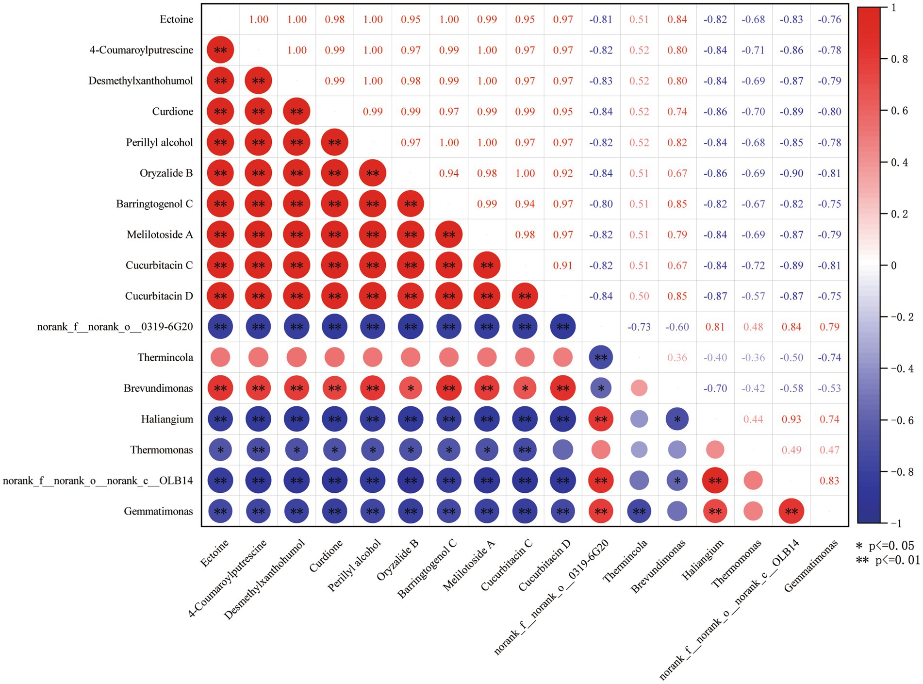 Correlation matrix displaying relationships between various compounds and bacteria. Red circles indicate positive correlations, while blue denote negative correlations. Circle size represents correlation magnitude. Significance is marked by asterisks, with one indicating p < 0.05 and two indicating p < 0.01.