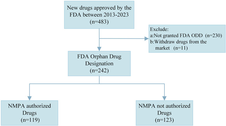 Flowchart showing the categorization of 483 new drugs approved by the FDA between 2013 and 2023. Of these, 242 received FDA Orphan Drug Designation. Exclusions include 230 drugs not granted designation and 11 withdrawn from the market. Of the designated drugs, 119 are authorized by the NMPA and 123 are not.