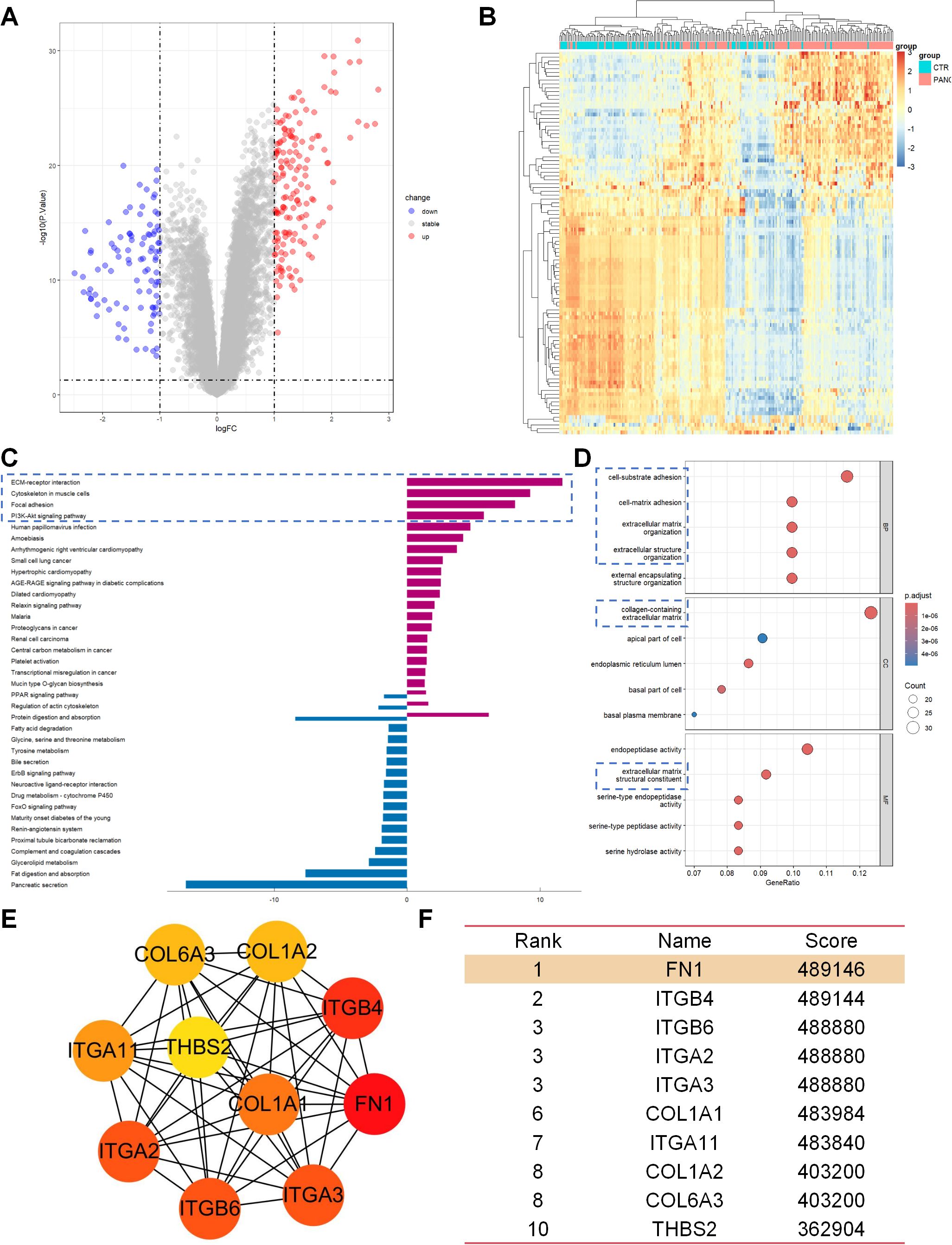Composite image of bioinformatics analysis: A) Volcano plot showing gene expression changes with upregulated genes in red, downregulated in blue, and non-significant in grey. B) Heatmap of gene expression across different groups, color-coded from blue to red indicating expression levels. C) Bar graph illustrating enriched pathways based on a statistical score. D) Bubble plot highlighting significant gene ontology terms with size representing the gene count. E) Network map of genes, showing interactions among proteins with nodes colored from yellow to red based on significance. F) Table ranking genes, listing names and scores.