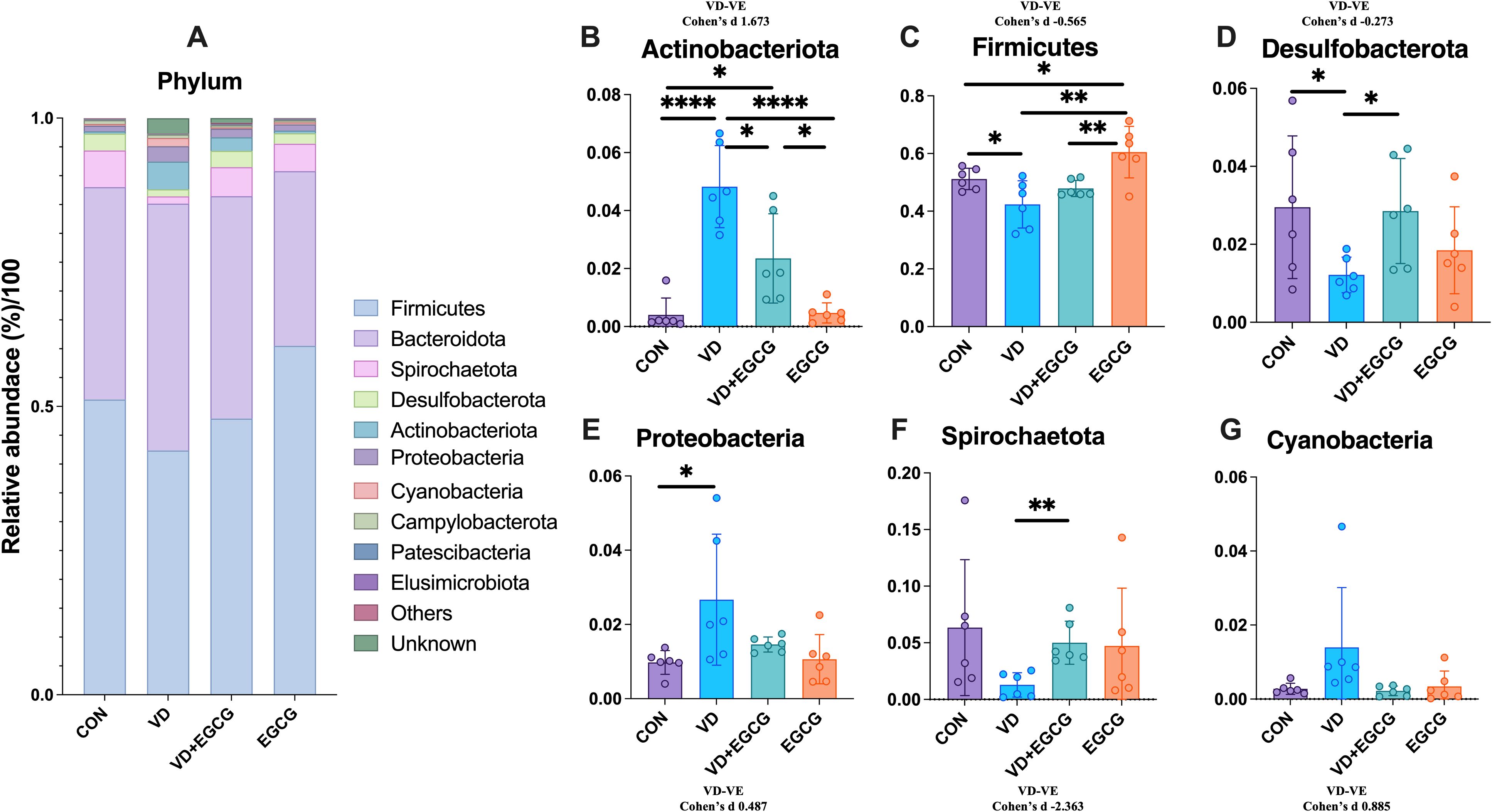Bar graph and multiple charts depict relative abundances of various bacterial phyla: Firmicutes, Bacteroidota, Spirochaetota, Desulfobacterota, Actinobacteriota, Proteobacteria, and Cyanobacteria, among others, across different conditions (CON, VD, VD+EGCG, EGCG). Each chart shows specific variations, statistical significance indicated by asterisks, with standard deviation bars.