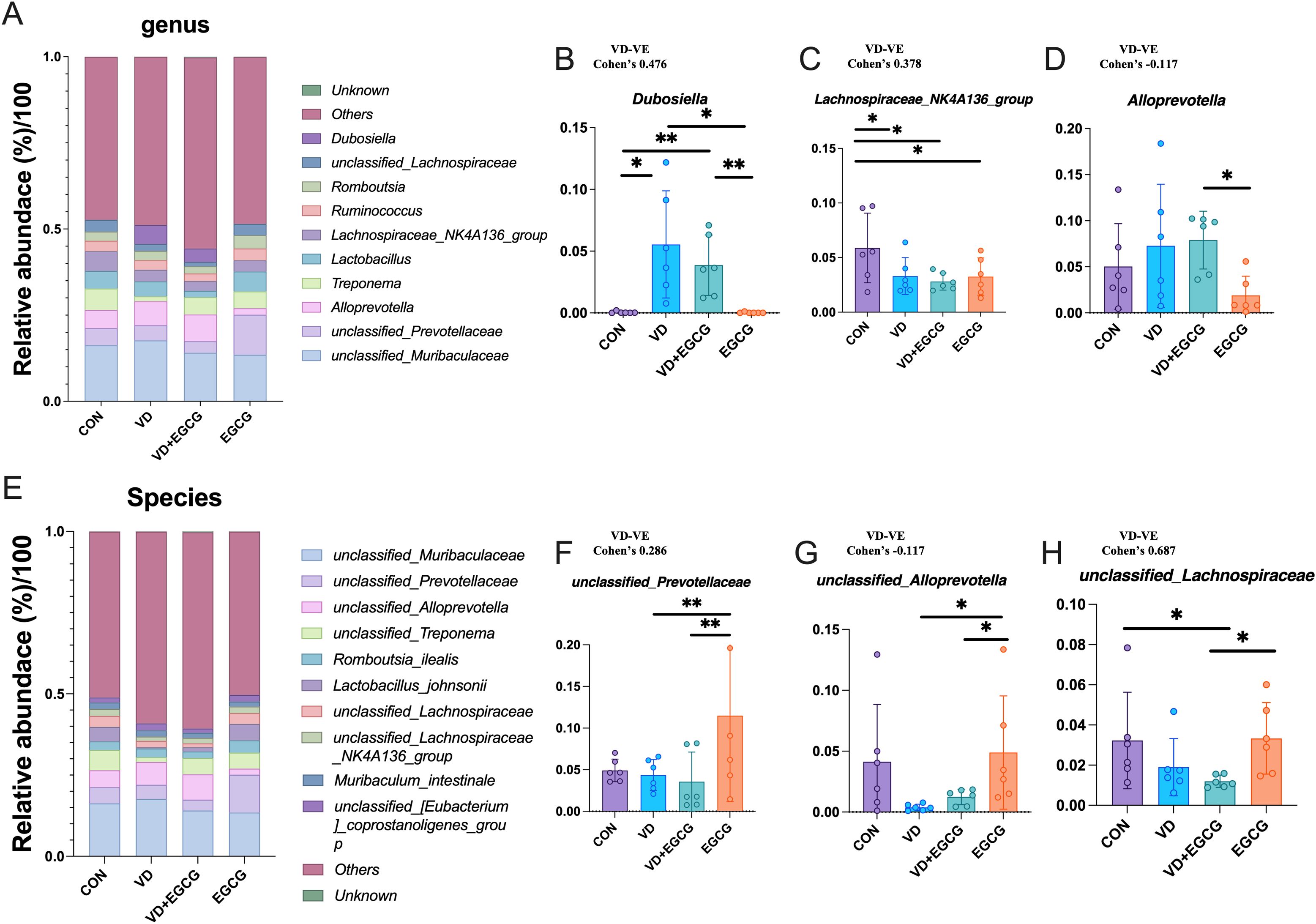 Bar graphs display relative abundance of bacterial genera and species across different treatments: CON, VD, VD+EGCG, and EGCG. Graph A shows genera like Dubosiella, Alloprevotella, and others. Graphs B to D highlight specific genera: Dubosiella, Lachnospiraceae_NK4A136_group, and Alloprevotella. Graph E shows species including unclassified Muribaculaceae. Graphs F to H detail species unclassified Prevotellaceae, unclassified Alloprevotella, and unclassified Lachnospiraceae. Statistical significance is indicated with asterisks above columns. Categories and color codes are consistent across graphs.