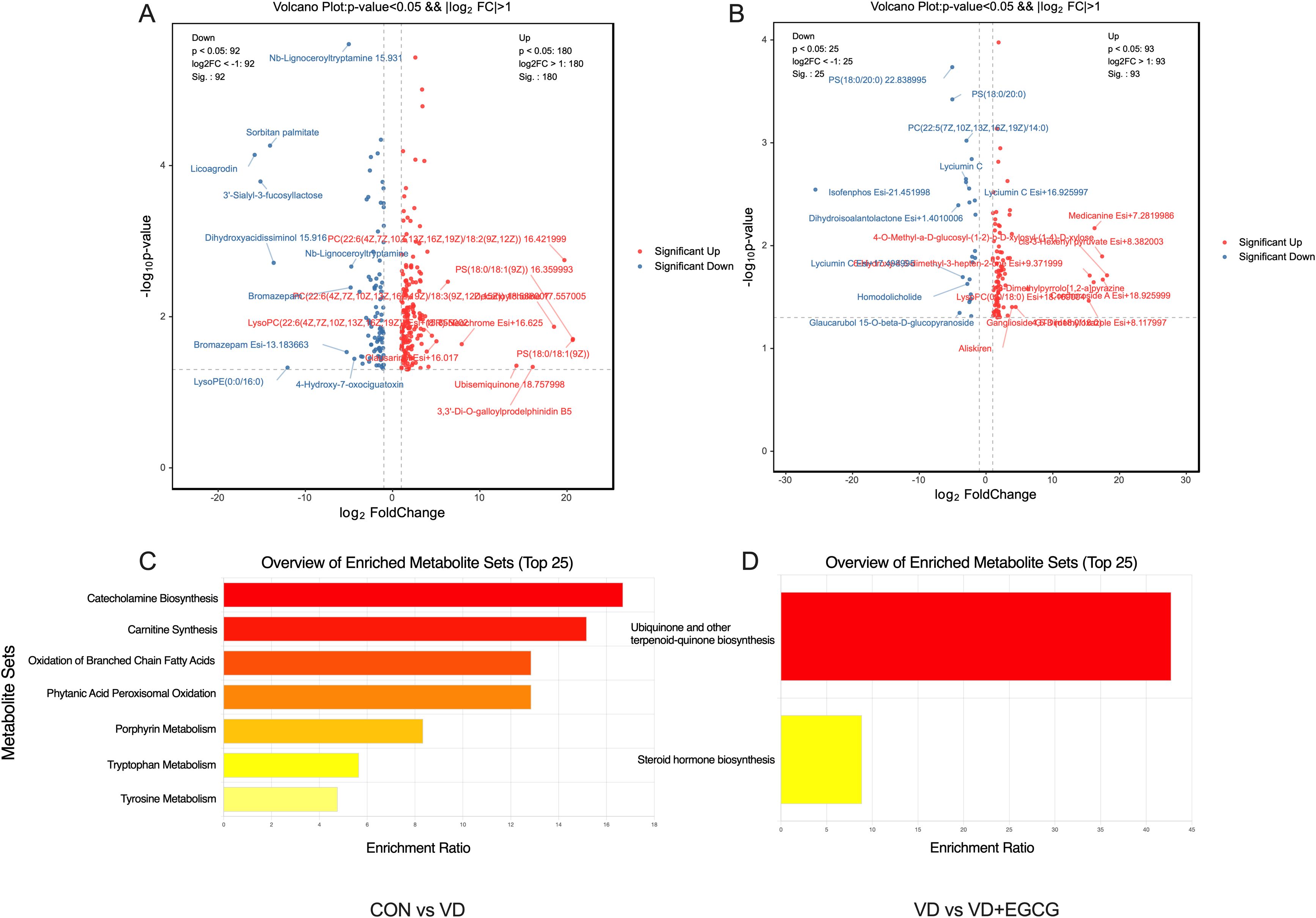 Volcano plots and bar graphs are shown in a four-panel figure. Panel A and B are volcano plots illustrating significant upregulated and downregulated metabolites, marked in red and blue points respectively. Panel C and D are bar graphs depicting enriched metabolic sets with the top 25 results. Panel C focuses on metabolic sets such as catecholamine biosynthesis and carnitine synthesis, while Panel D highlights ubiquinone biosynthesis and steroid hormone biosynthesis. Different colors represent various enrichment ratios for each metabolic set.