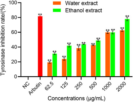 Bar chart showing tyrosinase inhibition rates at various concentrations (micrograms per milliliter). Water extracts (orange bars) and ethanol extracts (green bars) display increased inhibition with concentration. Arbutin (red bar) shows the highest inhibition rate. Standard error bars and significance markers are included.