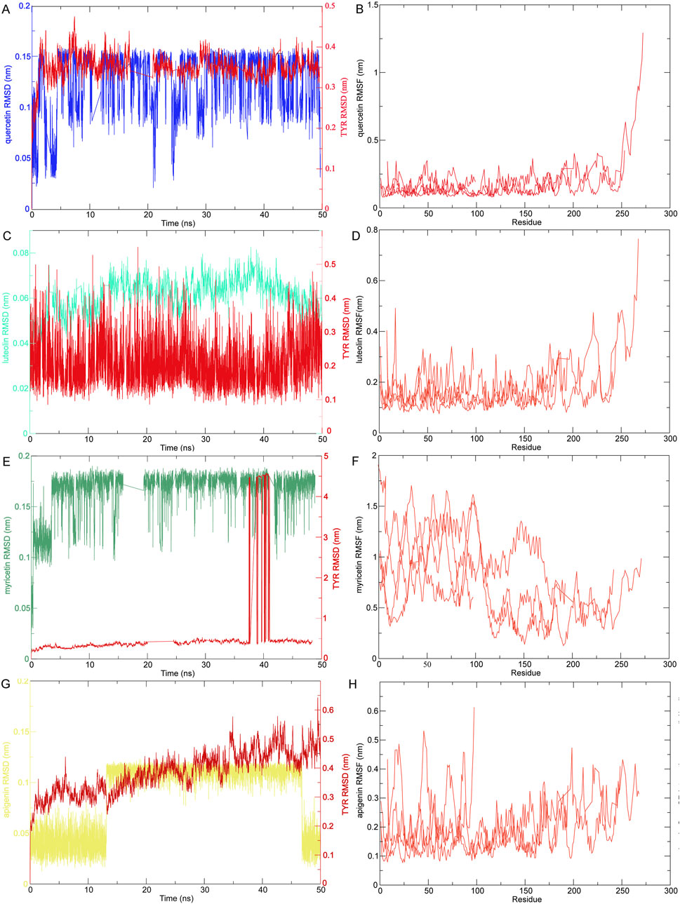 Graphs displaying RMSD (Root Mean Square Deviation) and RMSF (Root Mean Square Fluctuation) analyses for four different protein mutants: quercetin, luteolin, myricetin, and apigenin. Plots A, C, E, and G illustrate RMSD over time in nanoseconds, showcasing stability and variation for each mutant. Plots B, D, F, and H show RMSF for residues, indicating flexibility across amino acid positions. The graphs use various colors to differentiate data sets, highlighting distinct patterns for each mutant.