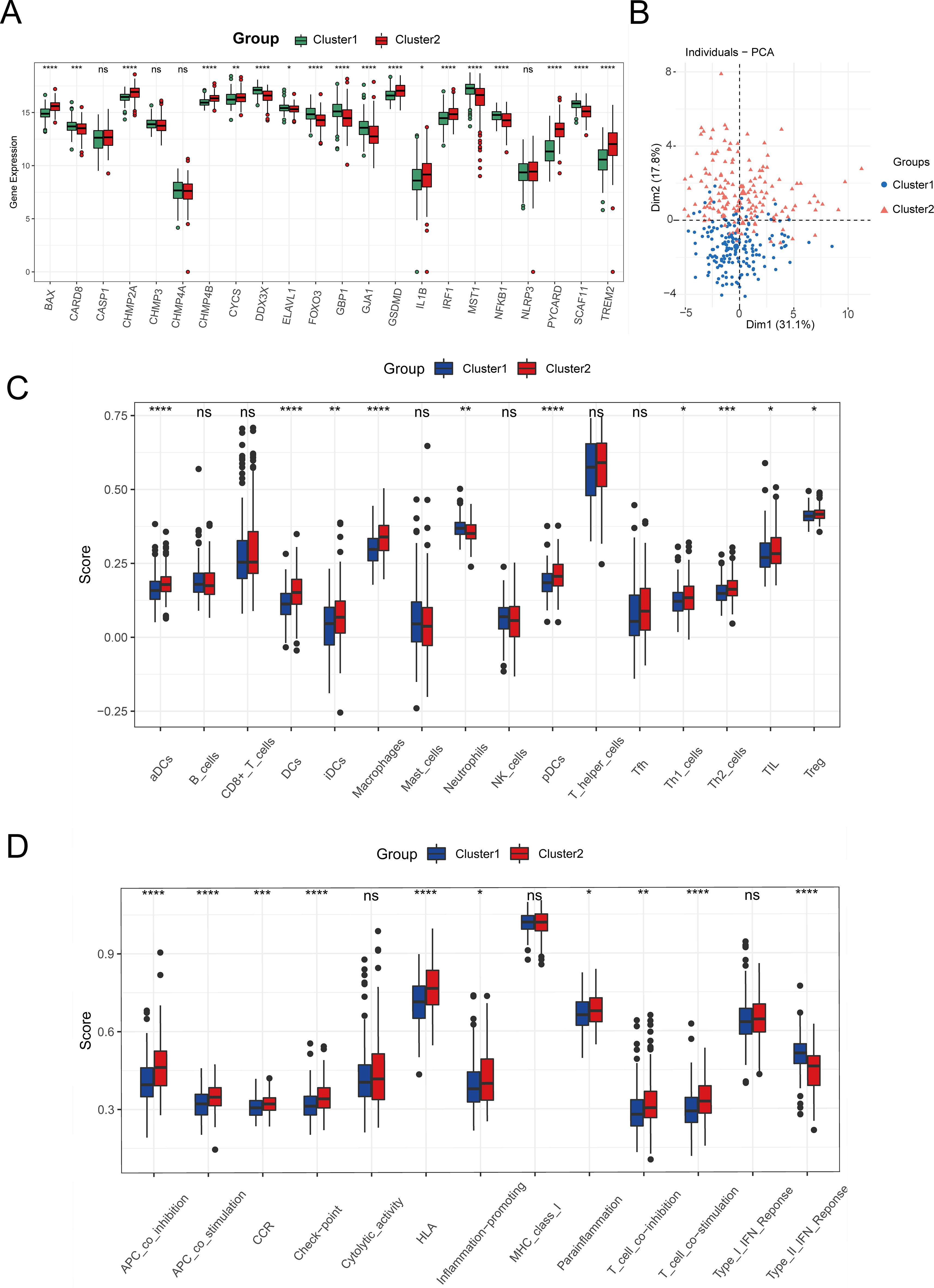 Panel A shows a box plot comparing gene expression between Cluster1 and Cluster2 across various genes, with significant differences marked. Panel B is a scatter plot from PCA, showing distribution of individuals in Cluster1 and Cluster2. Panel C presents a box plot comparing scores of immune cell types between clusters, with significant differences noted. Panel D shows a box plot contrasting immune-related pathways scores between clusters, highlighting significant variations.