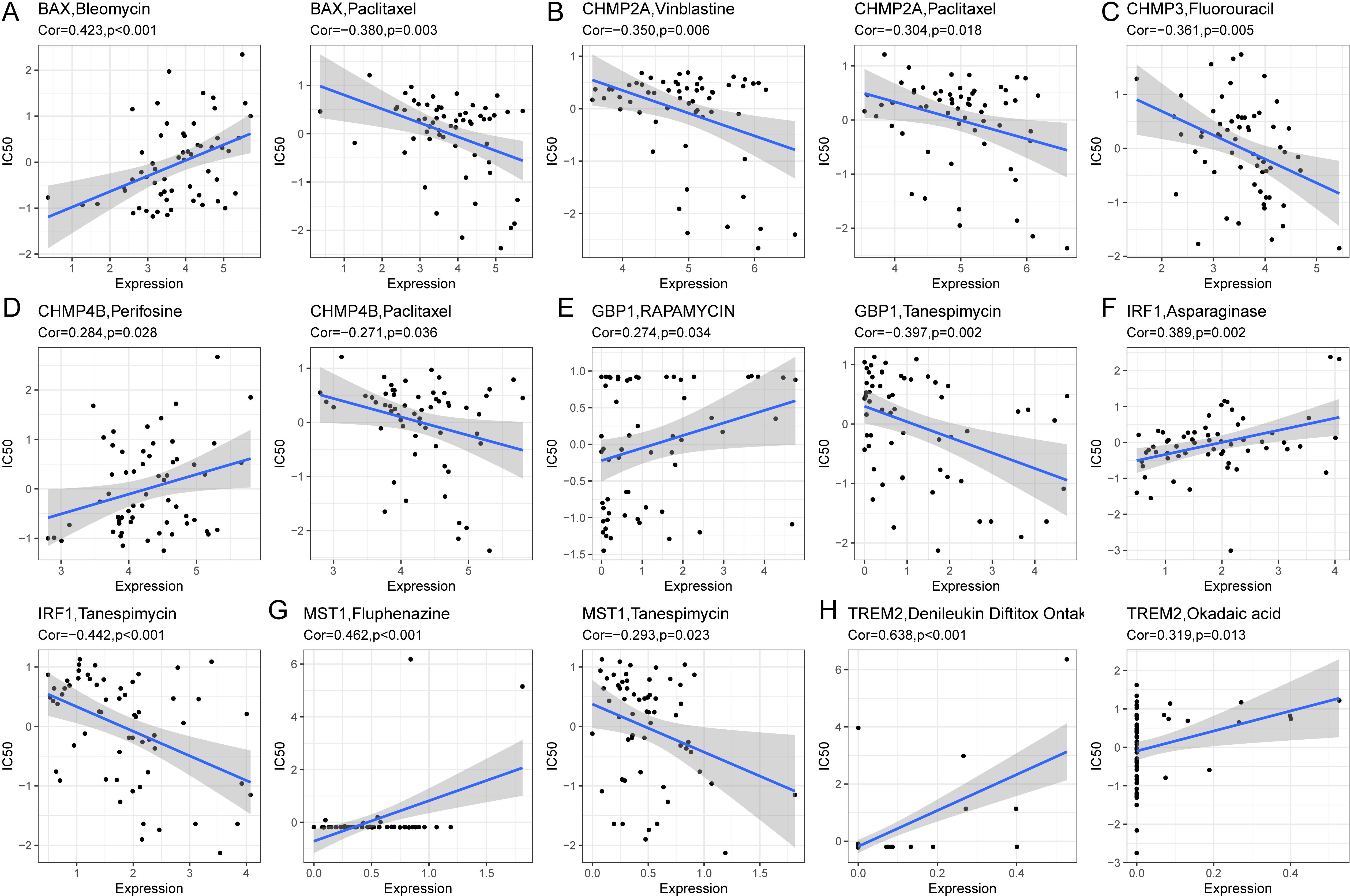 Scatter plots display the correlation between gene expression and IC50 across various drug treatments. Each plot shows a regression line with shaded confidence intervals. Significant correlations with different drugs are labeled as follows: A) BAX with Bleomycin and Paclitaxel. B) CHMP2A with Vinblastine and Paclitaxel. C) CHMP3 with Fluorouracil. D) CHMP4B with Perifosine and Paclitaxel. E) GBP1 with Rapamycin and Tanespimycin. F) IRF1 with Asparaginase and Tanespimycin. G) MST1 with Fluphenazine and Tanespimycin. H) TREM2 with Denileukin Diftitox Ontak and Okadaic acid. Correlation coefficients and p-values are noted on each plot.