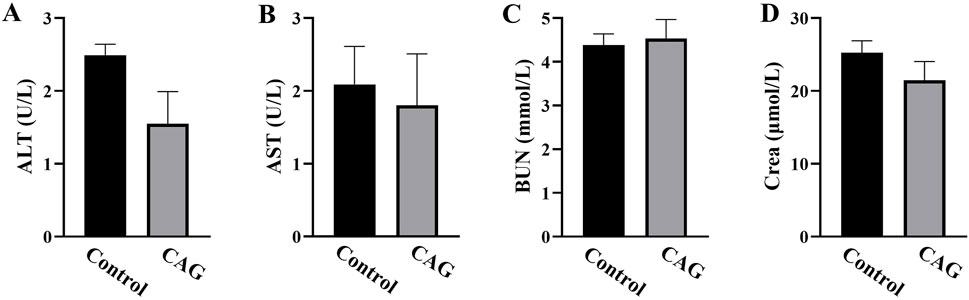 Bar graphs comparing control and CAG groups across four panels: A shows ALT levels; B shows AST levels; C shows BUN levels; D shows creatinine levels. Each panel displays control in black and CAG in gray.