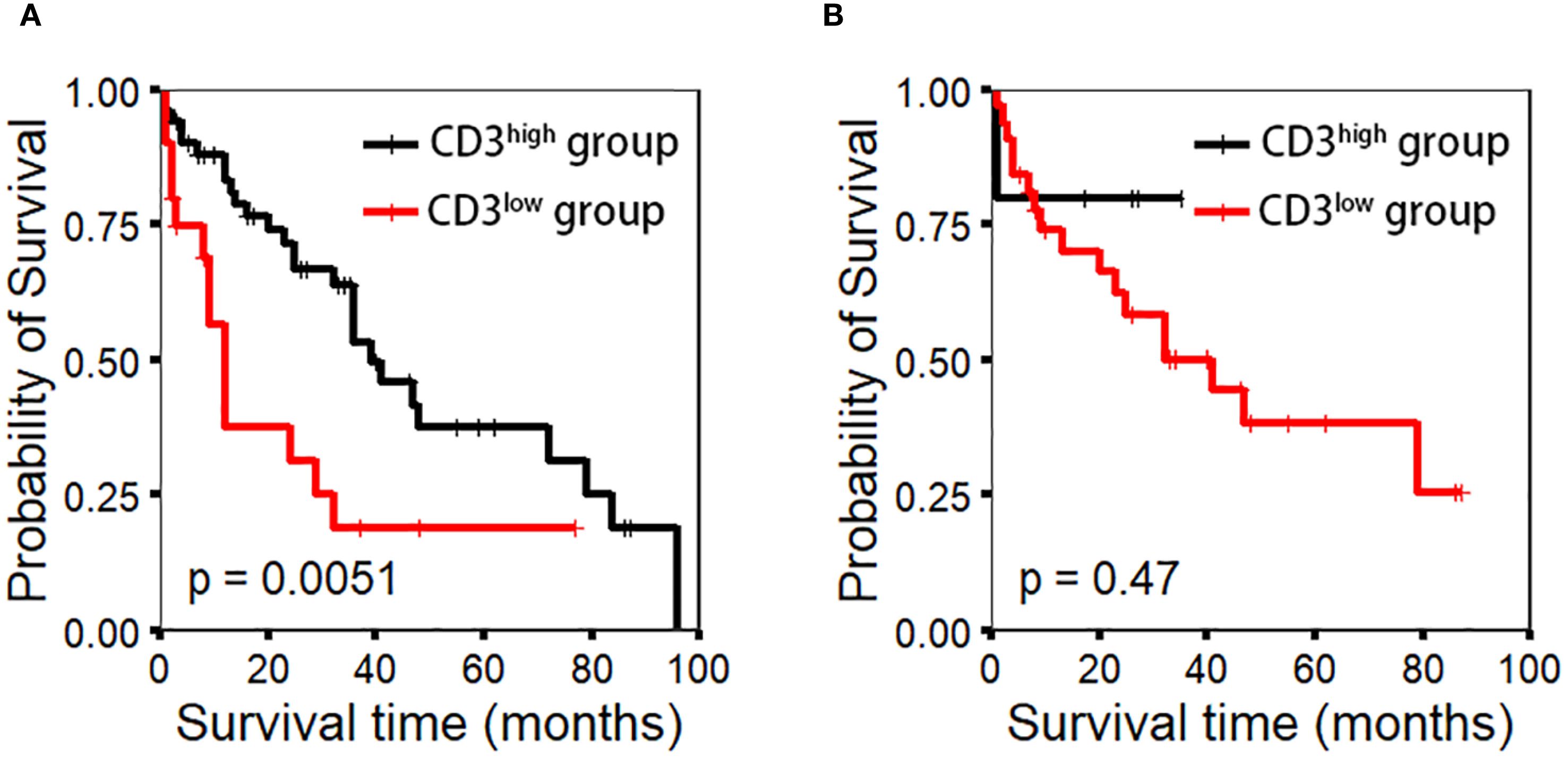 Kaplan-Meier survival curves comparing CD3^high group (black) and CD3^low group (red). Panel A shows a significant difference in survival times (p=0.0051), while panel B shows no significant difference (p=0.47). Both graphs plot survival probability against time in months, ranging from zero to one hundred.
