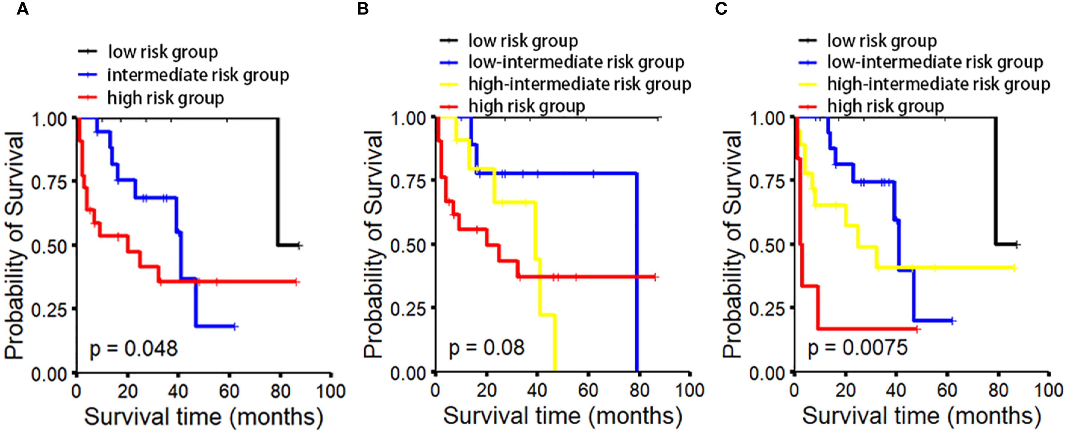 Three Kaplan-Meier survival plots (A, B, C) display survival probability over time for different risk groups. Plot A shows low, intermediate, and high-risk groups with a significant difference (p = 0.048). Plot B includes low-intermediate and high-intermediate risk groups, showing another significant difference (p = 0.08). Plot C presents all four risk groups with the most significant difference (p = 0.0075). The x-axis represents survival time in months, while the y-axis represents probability of survival. The plots highlight varying survival probabilities among the risk groups.