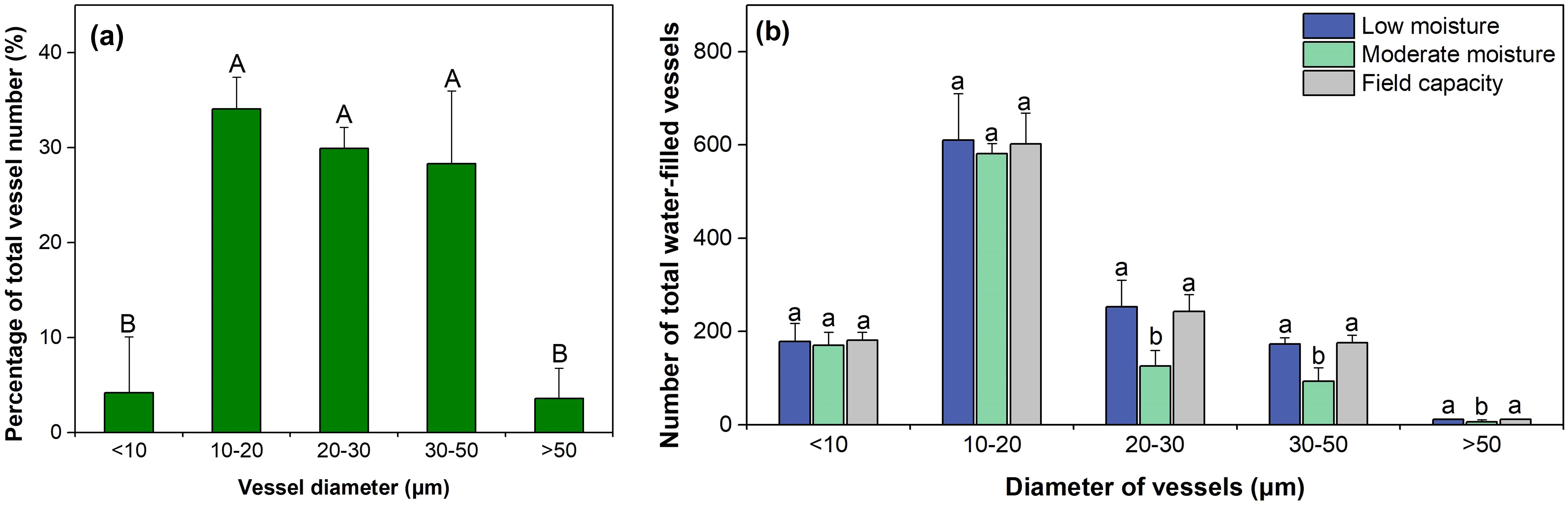 Two bar graphs show data related to vessel diameters. Graph (a) depicts the percentage of total vessel numbers by diameter in micrometers, with larger percentages for 10-20 and 20-30 micrometers. Graph (b) compares the number of total water-filled vessels under different moisture levels: low, moderate, and field capacity for various diameters. Low moisture shows higher numbers for smaller diameters, while larger diameters have fewer vessels across all moisture levels. The graphs include error bars and are labeled with letters indicating statistical significance.