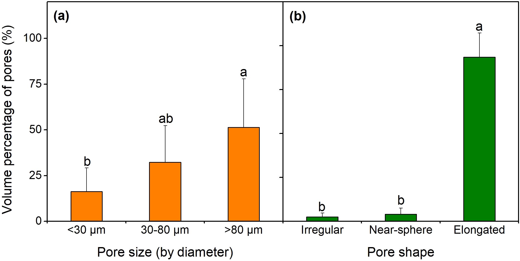 Bar graphs showing volume percentage of pores by size and shape. Graph (a) displays pore size percentages: <30 µm (b), 30-80 µm (ab), and >80 µm (a). Graph (b) shows pore shape percentages: irregular (b), near-sphere (b), and elongated (a) with elongated having a significantly higher percentage. Error bars and letters indicate statistical differences.