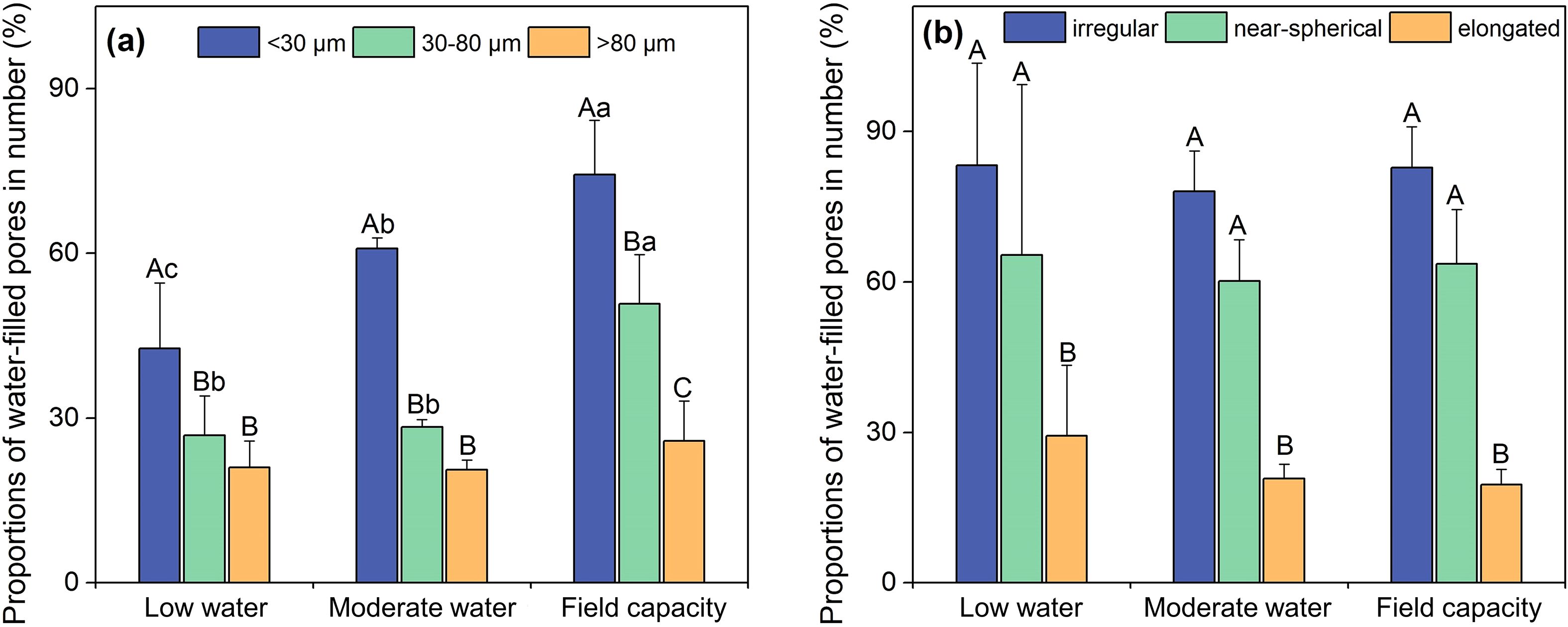 Two bar charts compare the proportions of water-filled pores under different water conditions. Chart (a) categorizes by pore size: blue for less than 30 micrometers, green for 30 to 80 micrometers, and orange for more than 80 micrometers. Chart (b) categorizes by shape: blue for irregular, green for near-spherical, and orange for elongated. Conditions include low water, moderate water, and field capacity. Bars show variability with labels indicating statistical differences.