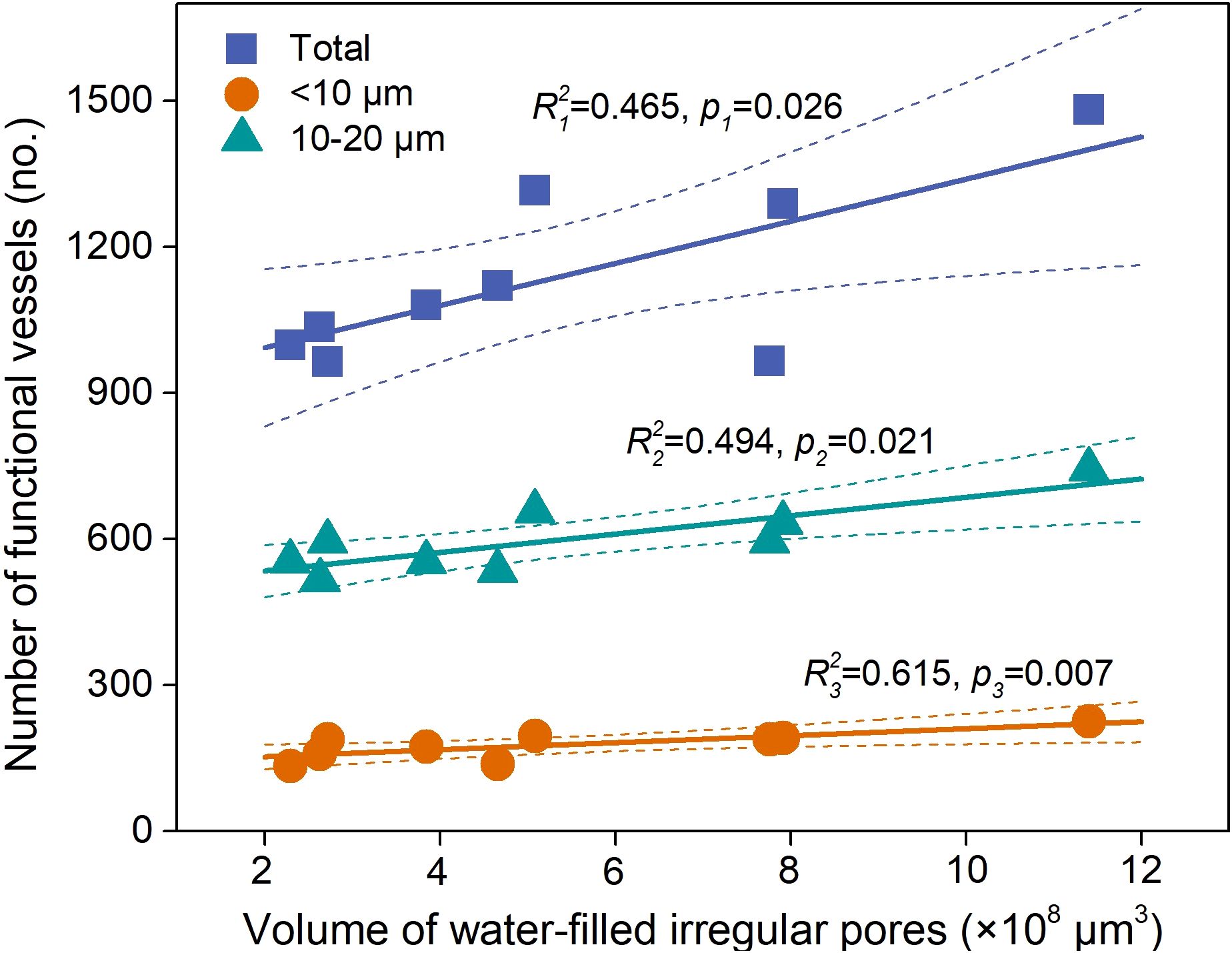 Scatter plot showing the relationship between the volume of water-filled irregular pores and the number of functional vessels. Three datasets are represented: total vessels (squares, blue), vessels between ten to twenty micrometers (triangles, green), and vessels less than ten micrometers (circles, orange). Each dataset includes a linear regression line with respective R-squared and p-values: \( R^2 = 0.465, p = 0.026 \); \( R^2 = 0.494, p = 0.021 \); \( R^2 = 0.615, p = 0.007 \).