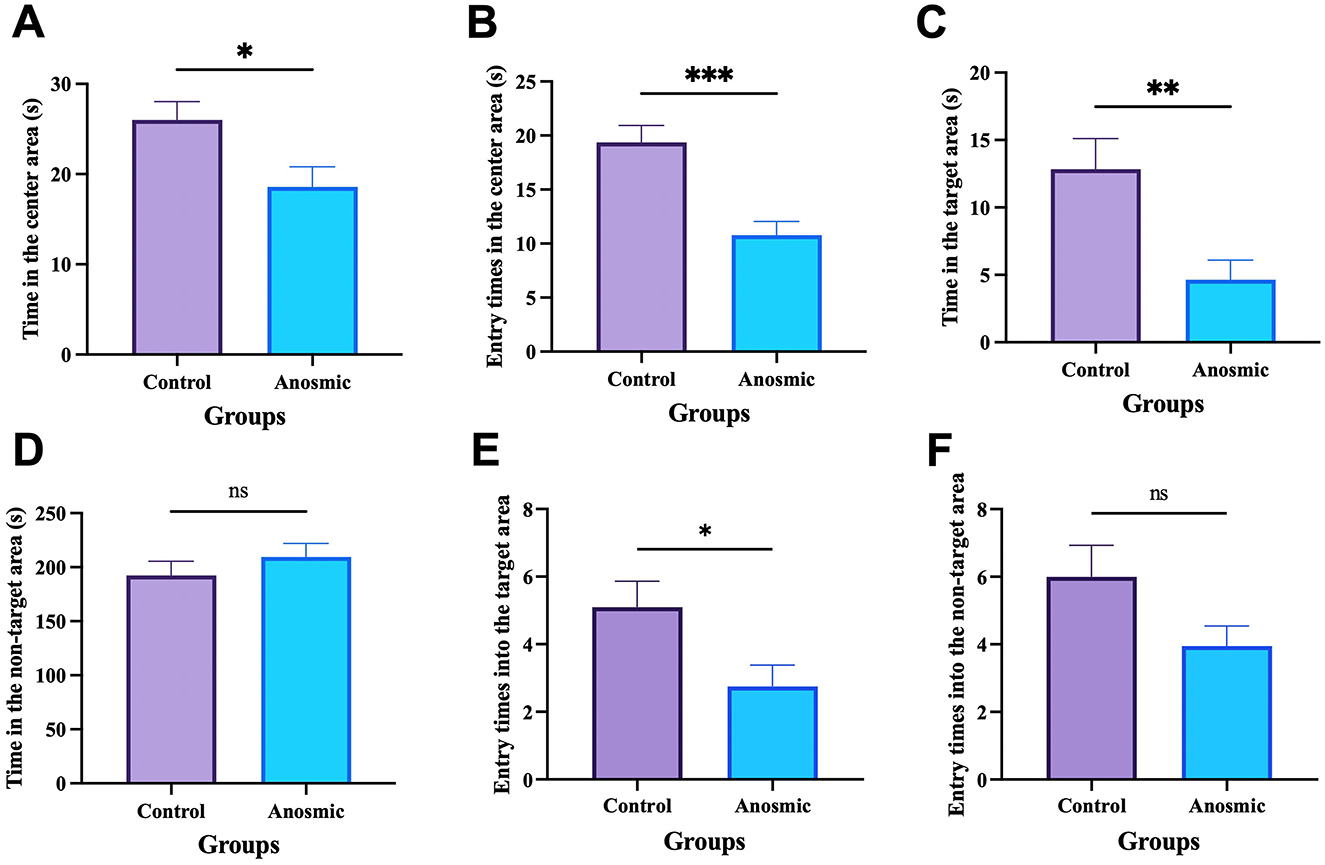 Bar graphs labeled A to F compare control and anosmic groups on different metrics. Graph A shows significantly more time in the center area for the control group. Graph B indicates more entries into the center area for the control group. Graph C shows more time in the target area for the control group. Graph D shows no significant difference in time spent in the non-target area. Graph E indicates more entries into the target area for the control group. Graph F shows no significant difference in entries into the non-target area. Statistical significance is marked with asterisks.