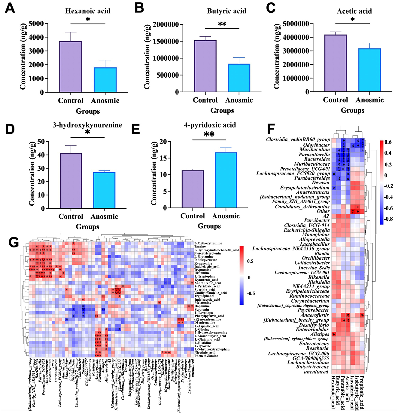 Charts and plots display differences between control and anosmic groups. Bar charts (A-E) compare concentrations of hexanoic acid, butyric acid, acetic acid, 3-hydroxykynurenine, and 4-pyridoxic acid. Heatmaps (F-G) show microbial abundance and correlations. Statistical significance is indicated by asterisks.