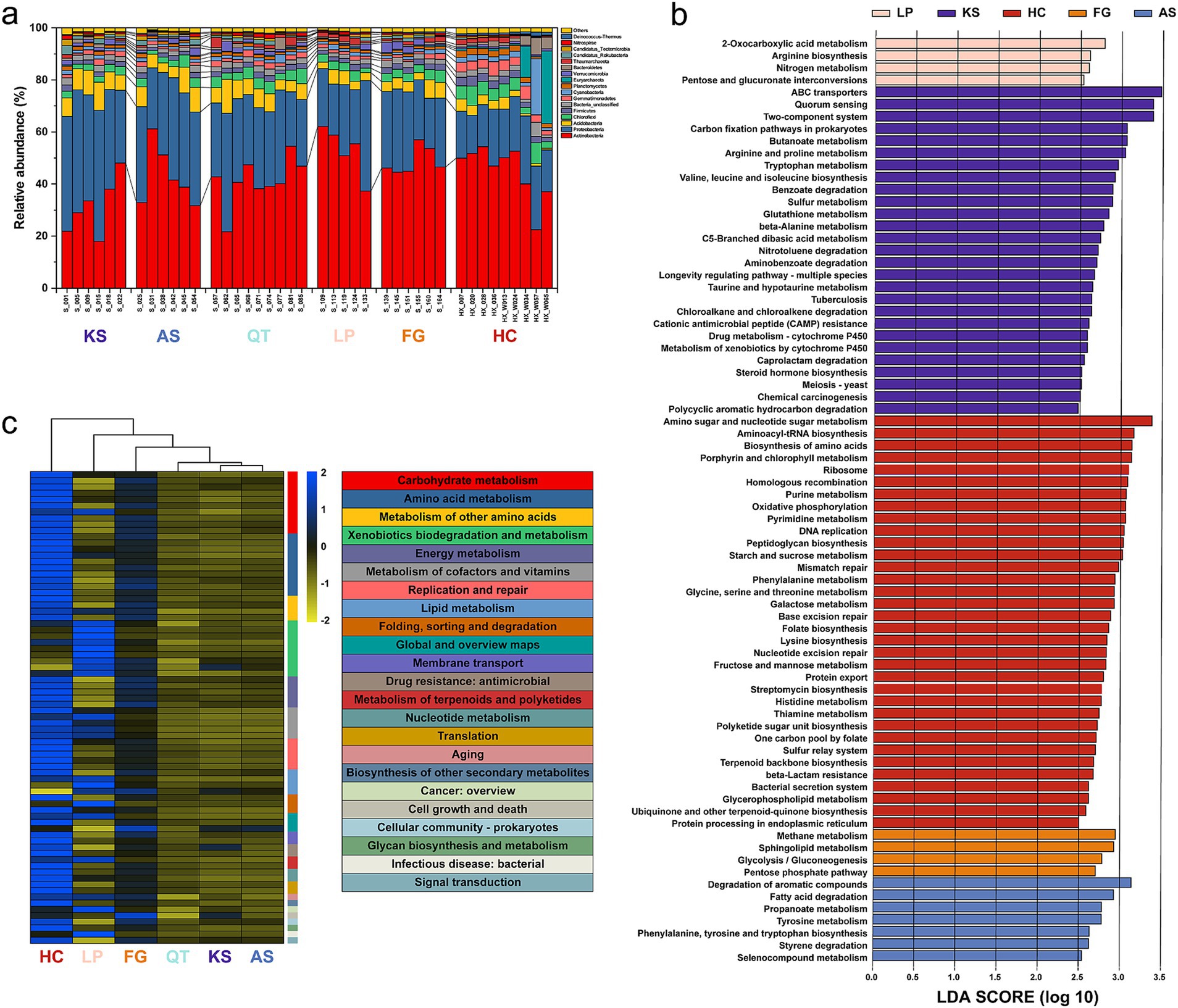 Three-panel figure illustrating microbial and metabolic analysis. (a) Bar chart showing microbial relative abundance across different groups, marked KS, QT, AS, LP, FG, and HC. (b) Bar graph depicting LDA scores of metabolic pathways by group, with diverse pathway descriptions. (c) Heatmap showing hierarchical clustering of metabolic pathways with a color-coded legend highlighting various metabolic functions.