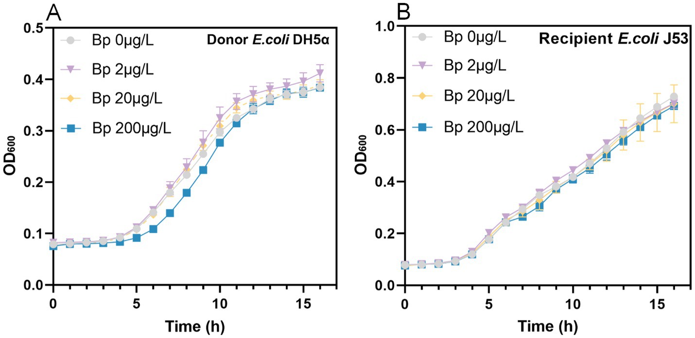 Two line graphs show OD600 over time for E. coli strains DH5α and J53 with varying Bp concentrations (0, 2, 20, 200 µg/L). Graph A (DH5α) indicates increased growth rates at 10 to 15 hours. Graph B (J53) shows similar growth patterns, with slight differences at higher hours. Each graph uses symbols and lines for Bp concentration levels.