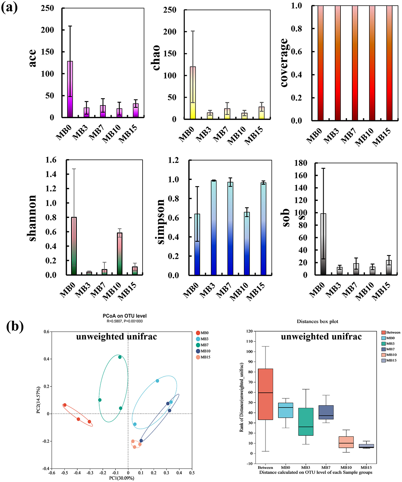 (a) Six bar graphs show different diversity indices for samples labeled MB0, MB3, MB7, MB10, and MB15. Index types are ace, chao, coverage, shannon, simpson, and sobs. Values vary across indices and samples. (b) Two plots display unweighted unifrac results. The left scatter plot shows principal coordinates with samples in different colors. The right box plot shows distance rankings between and within sample groups MB0, MB3, MB7, MB10, and MB15.