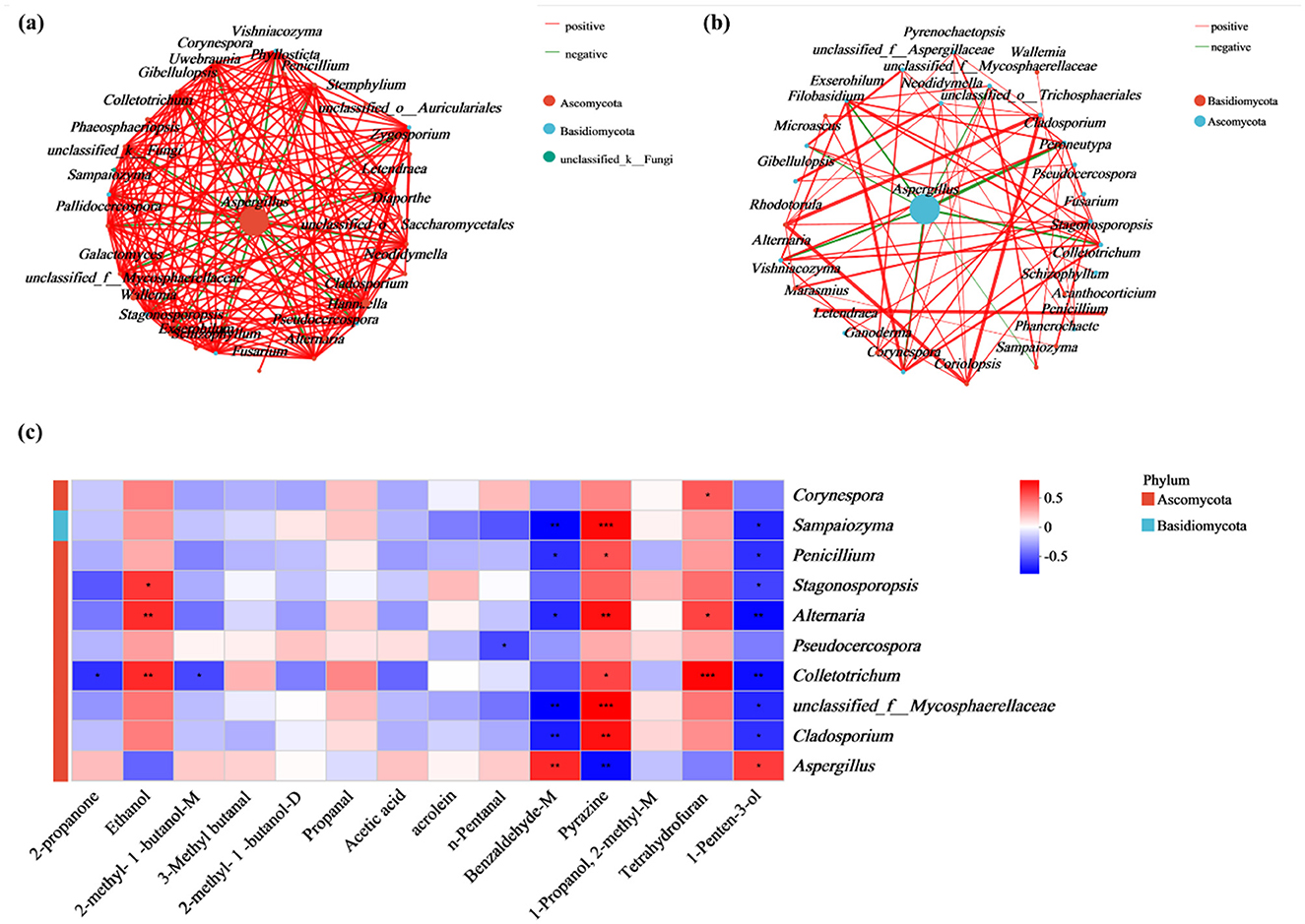 Three-part scientific visualization showing microbial interactions and data. (a) Complex network diagram depicting species interactions, with red lines for positive and green for negative relationships; nodes represent different fungi. (b) Simplified network with highlighted node for Aspergillus, showing similar data. Nodes are color-coded by phylum: red for Ascomycota, teal for Basidiomycota. (c) Heatmap displaying species correlations with various compounds. Rows denote fungal species, columns represent compounds. Color gradient from blue to red shows correlation strength, with labels indicating significance.