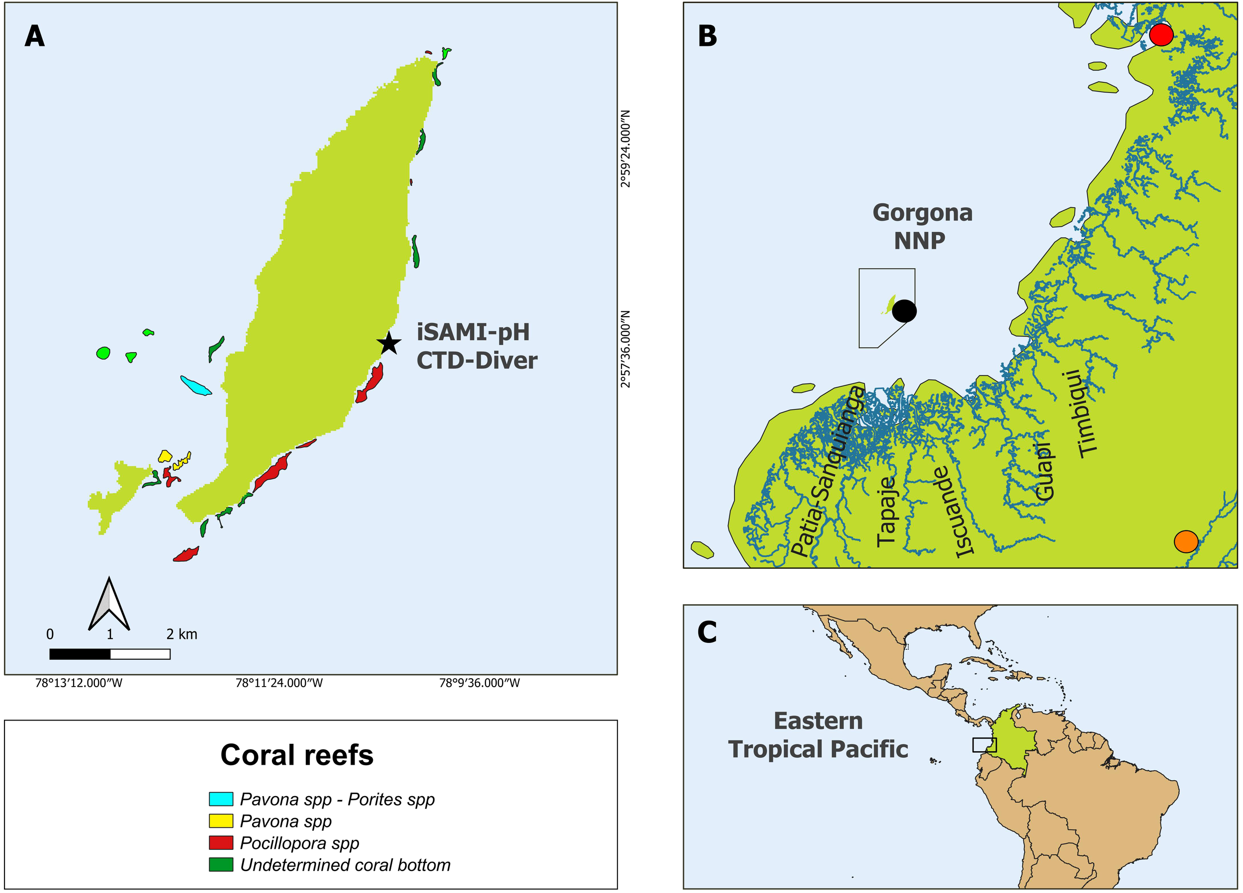 Map illustrating the location and type of coral reefs around Gorgona Island in the Eastern Tropical Pacific. Panel A shows detailed coral reef locations, marked by color for different species. The iSAMI-pH CTD-Diver site is indicated on the east side of the island. Panel B shows Gorgona Island's position off the Colombian coast near PatĆa-Sanquianga and other areas. Panel C places the region within the Eastern Tropical Pacific context. A legend details coral species represented by different colors.