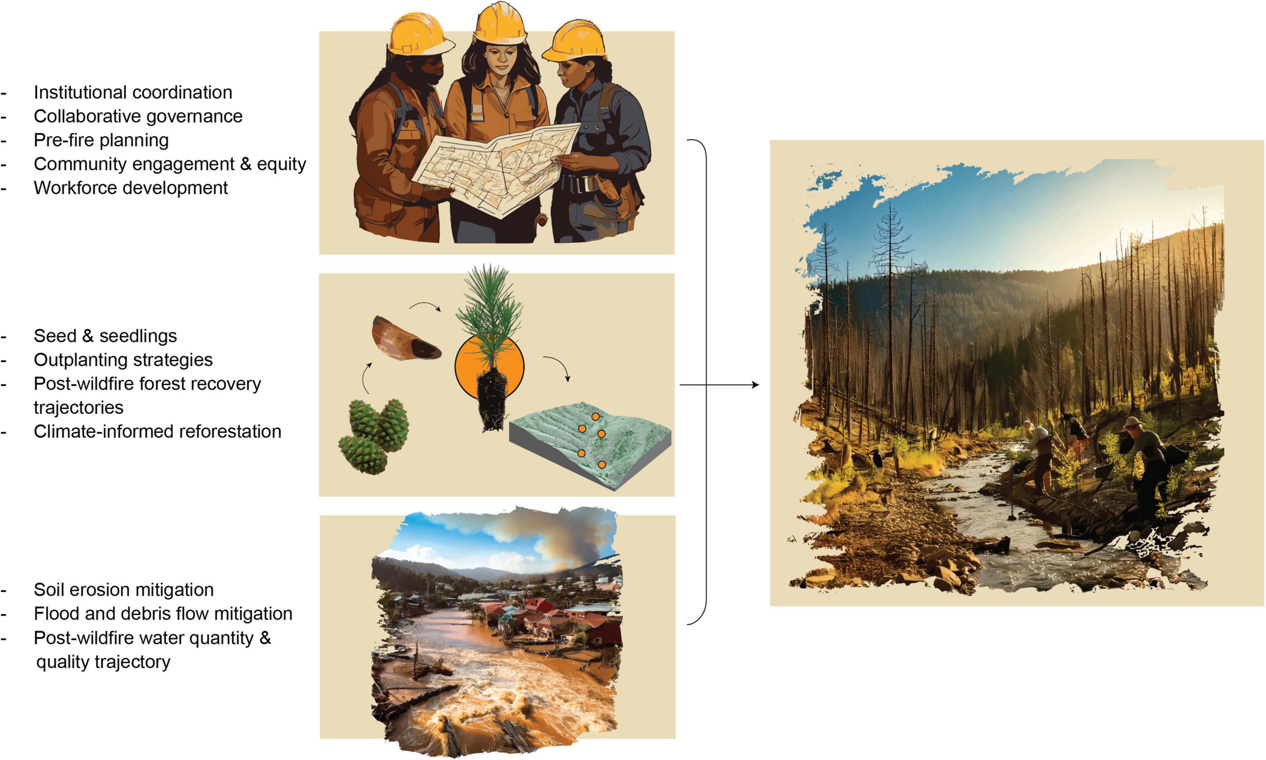 Illustration detailing post-wildfire recovery research needs. Three panels show: left column lists the 12 topics prioritzed by this horizon scan; center column with images of the three main themes of social sciences, forest ecology and management, and hydrology; right column image of a reforested landscape with people planting along a stream.