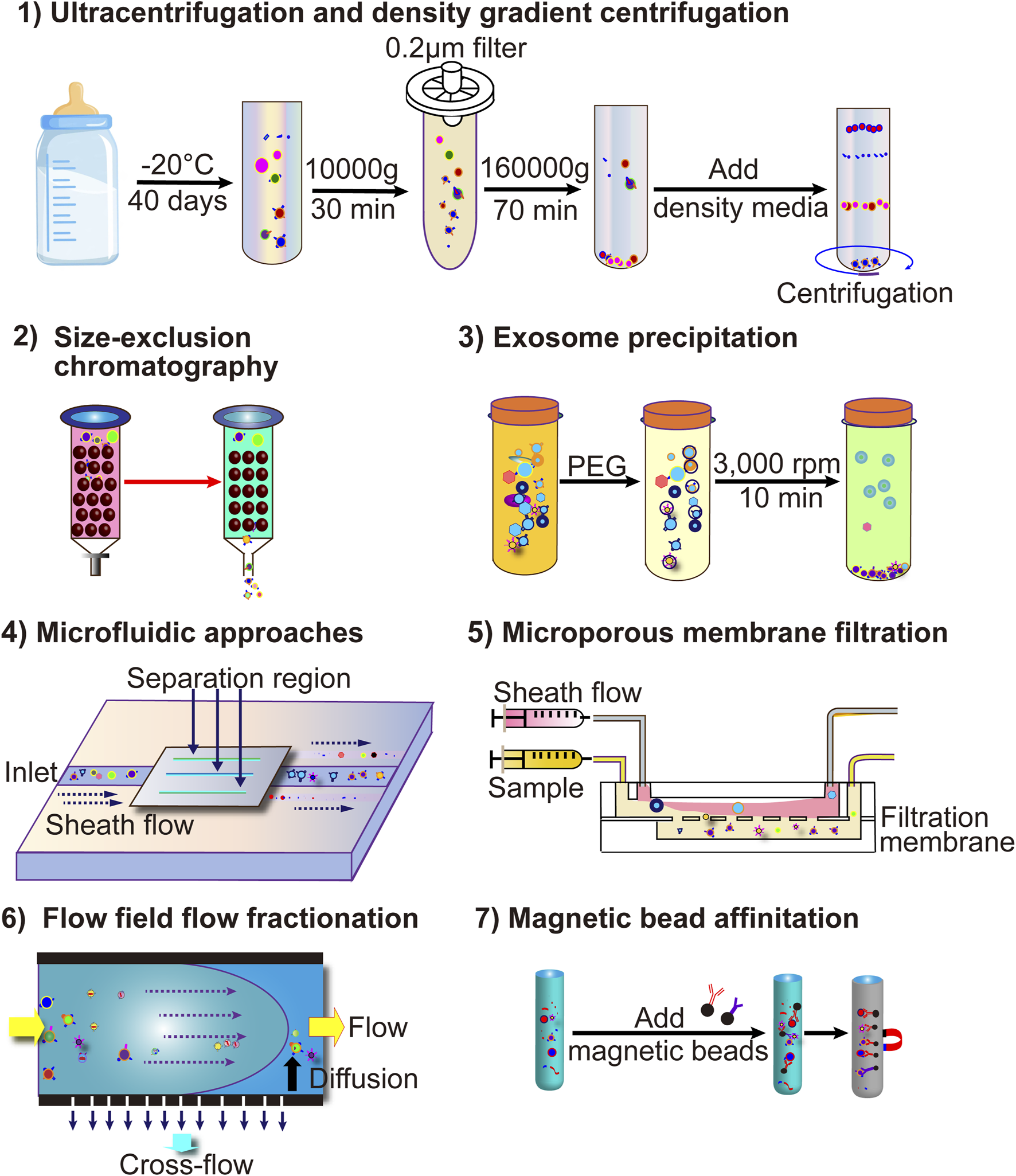 Diagram illustrating seven techniques for exosome isolation: 1) Ultracentrifugation and density gradient centrifugation with steps involving freezing and centrifuging. 2) Size-exclusion chromatography showing separation through a column. 3) Exosome precipitation using PEG and centrifugation. 4) Microfluidic approaches utilizing a flow-based separation. 5) Microporous membrane filtration with a filtration membrane and sheath flow. 6) Flow field flow fractionation indicating flow and diffusion direction. 7) Magnetic bead affinity showing the addition of beads for separation.