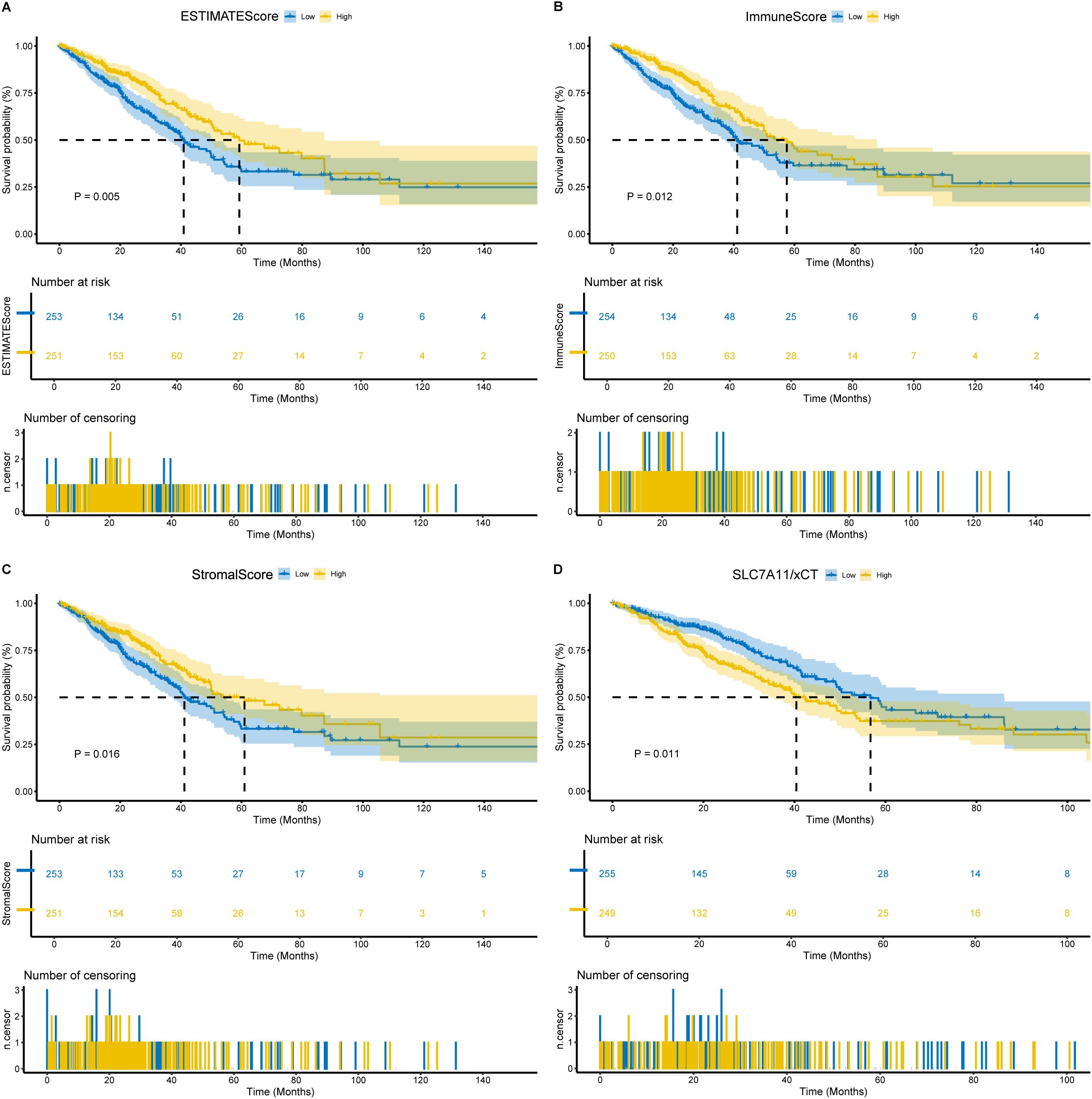 Four Kaplan-Meier survival plots labeled A to D. Each plot compares low and high score groups for ESTIMATE Score, Immune Score, Stromal Score, and SLC7A11/xCT. Survival probability is plotted over time in months, with P-values indicating statistical significance: 0.005, 0.012, 0.016, and 0.011 respectively. The plots show numbers at risk and censored data below each graph, with yellow representing high scores and blue representing low scores.