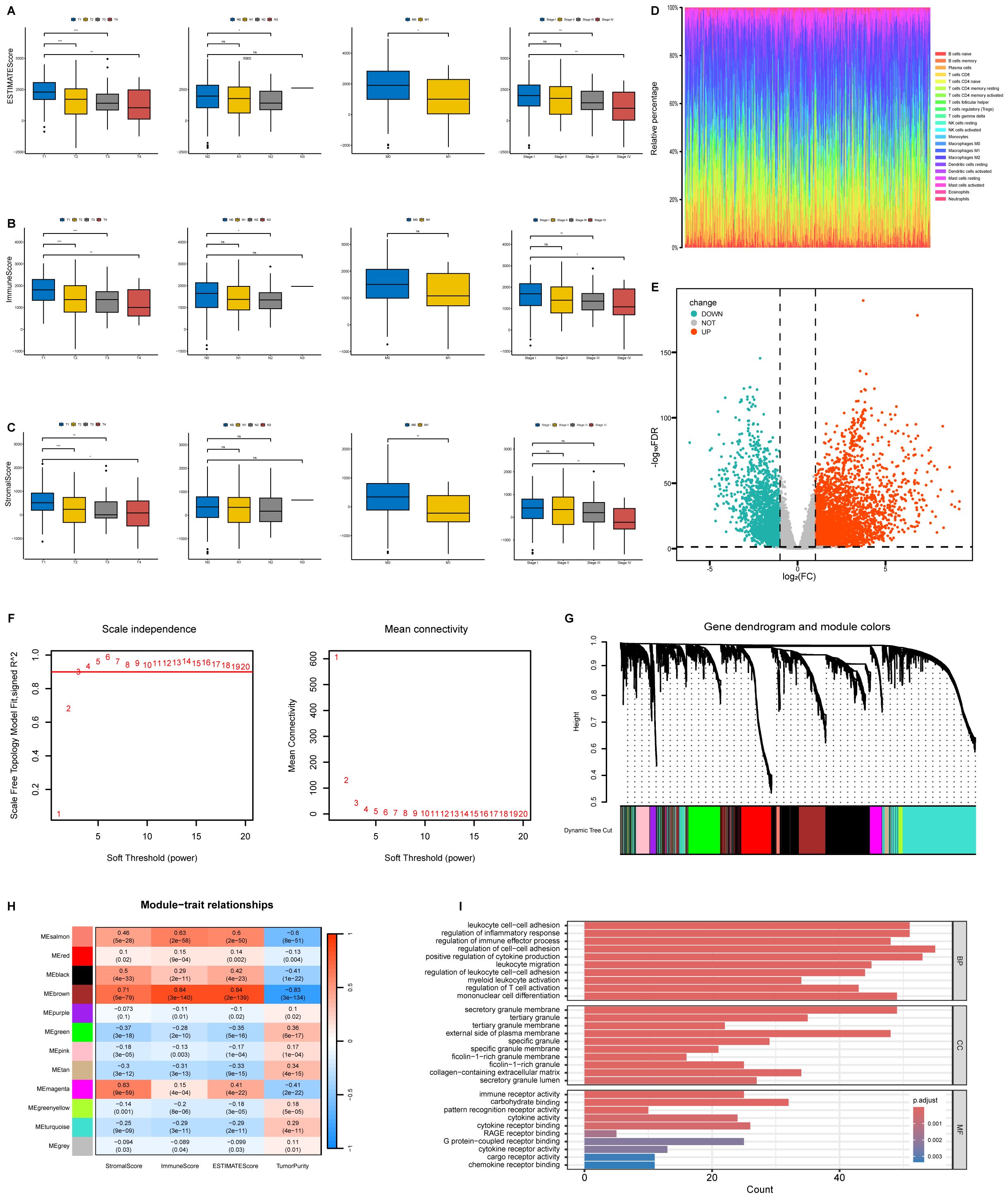 The image consists of multiple panels displaying data visualizations. Panels A, B, and C feature box plots comparing different datasets across various categories. Panel D is a multicolored bar graph showing relative percentage contributions of components, with a legend to the right. Panel E contains a volcano plot displaying log fold change and significance. Panel F includes line graphs for scale independence and mean connectivity based on soft threshold power. Panel G shows a gene dendrogram with colored module bars. Panel H features a heatmap illustrating module-trait relationships. Panel I presents bar graphs of counts for different biological processes.