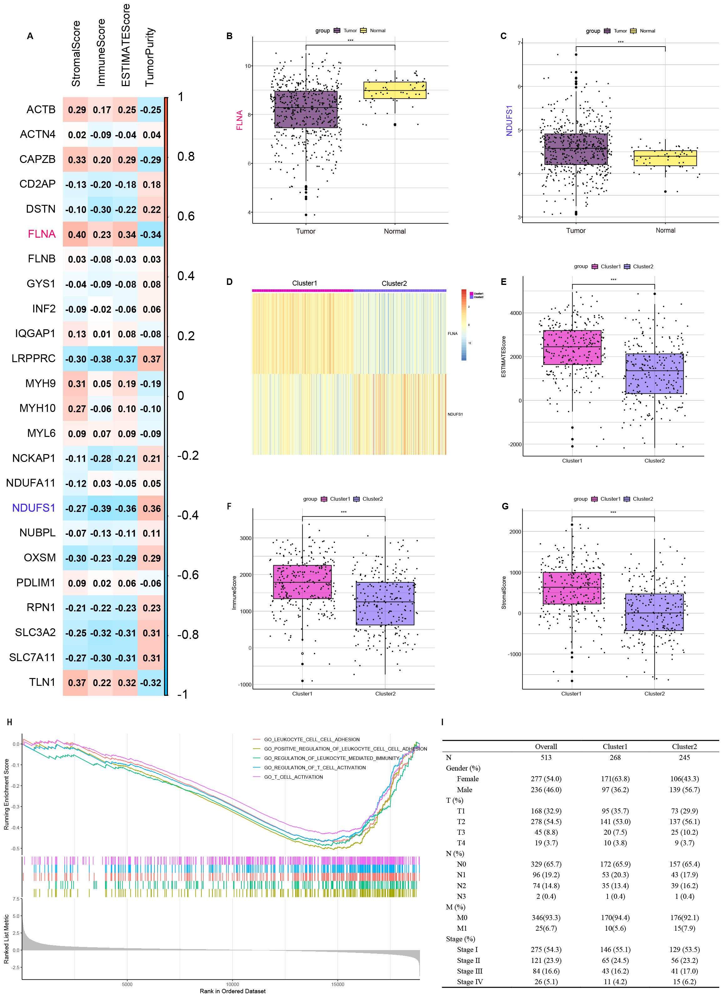 Heatmap, boxplots, and tables compare gene expression between tumor and normal samples, and across clusters. A table lists gene expression scores. Boxplots (B, C) show differences between groups. Heatmap (D) visualizes clustering. Boxplots (E, F, G) display scores by cluster. A table (H) summarizes clinical data. A line graph (I) shows enrichment scores for gene sets.