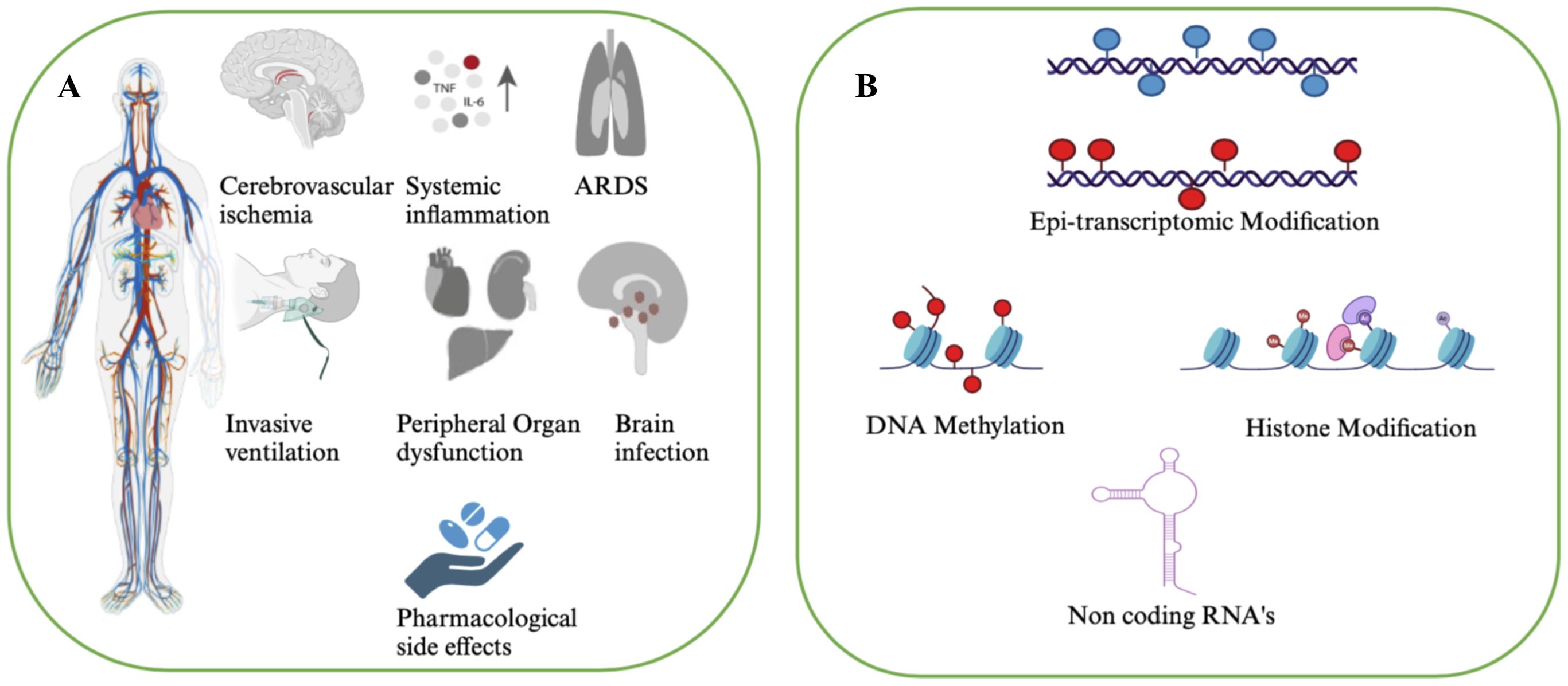 Frontiers | Immuno-epigenetic paradigms in coronavirus infection