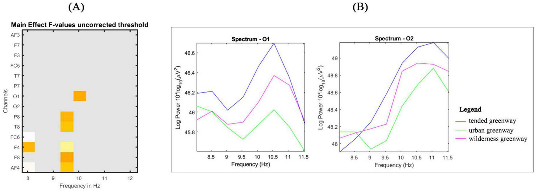 Panel A displays a heatmap with F-values for different channels on a scale from eight to twelve hertz, showing varying intensities. Panel B includes two line graphs, Spectrum O1 and Spectrum O2, depicting log power across frequencies from 8.5 to 11.5 hertz. Three colored lines represent tended greenway (blue), urban greenway (pink), and wilderness greenway (green).
