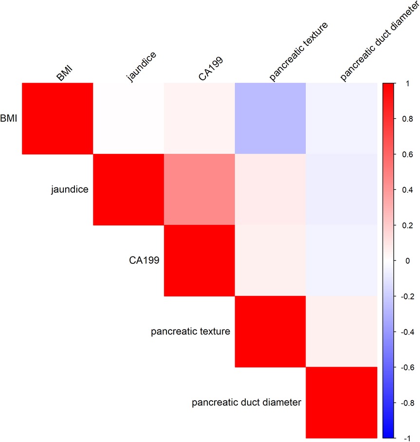 Correlation matrix heatmap showing relationships among BMI, jaundice, CA199, pancreatic texture, and pancreatic duct diameter. Red indicates strong positive correlation, blue indicates negative. A color bar on the right ranges from -1 (blue) to 1 (red).