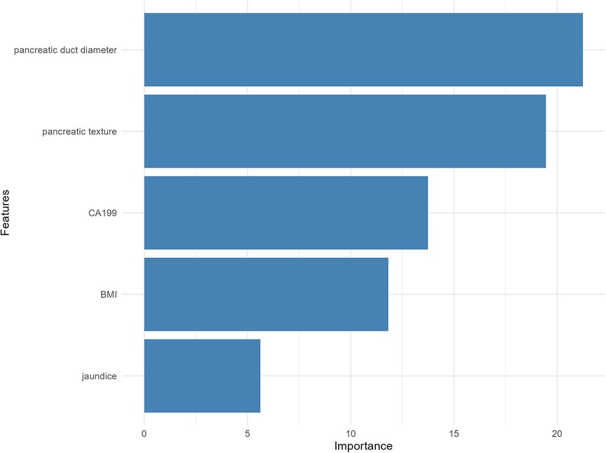 Bar chart showing feature importance. The features are pancreatic duct diameter, pancreatic texture, CA199, BMI, and jaundice. Importance values decrease from roughly 22 for pancreatic duct diameter to about 5 for jaundice.
