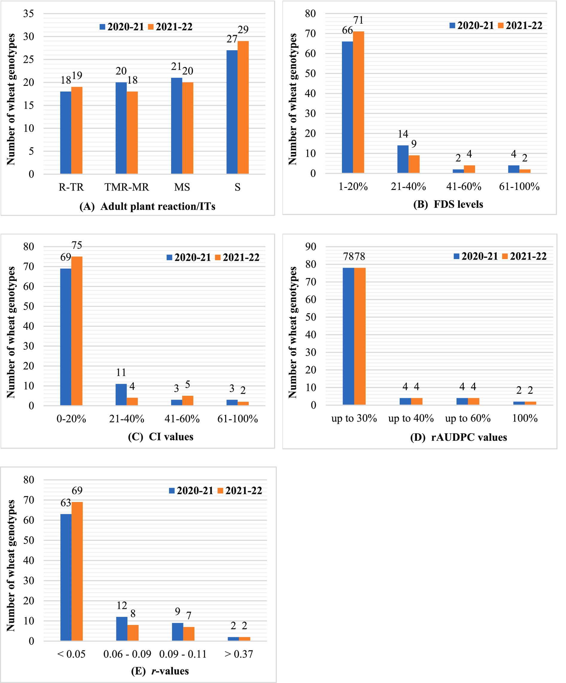 Five bar charts compare wheat genotypes over two seasons, 2020-21 and 2021-22. (A) Adult plant reaction shows S types increasing. (B) FDS levels, (C) CI values, and (E) r-values have more genotypes in lower percentage ranges. (D) rAUDPC values remain stable, with most genotypes up to 30%. Each chart uses different categories, showing varied wheat genotype responses.