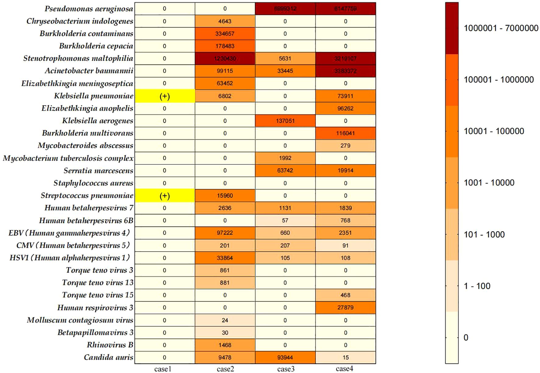 Heatmap showing microbial and viral presence across four cases. Cases are on the x-axis, and microorganisms are on the y-axis. The color scale ranges from white (zero) to dark red (over one million), indicating presence intensity. The notable microbial species in this chart include multidrug-resistant bacteria, Candida auris, etc.