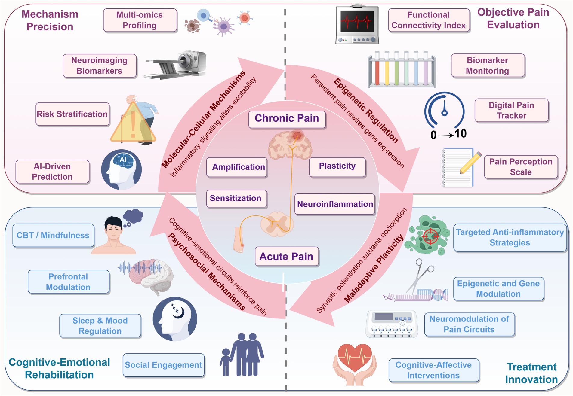 Diagram explaining chronic pain mechanisms and treatments. Top left: “Mechanism Precision” with neuroimaging biomarkers, AI prediction, and risk stratification. Top right: “Objective Pain Evaluation” using biomarkers, functional connectivity, pain tracker, and scale. Center: Chronic pain involving amplification, plasticity, sensitization, and neuroinflammation. Bottom left: “Cognitive-Emotional Rehabilitation” with mindfulness, prefrontal modulation, social engagement, and sleep regulation. Bottom right: “Treatment Innovation” with anti-inflammatory strategies, gene modulation, pain circuit neuromodulation, and cognitive-affective interventions. Central red arrows highlight molecular, epigenetic, psychosocial, and maladaptive plasticity mechanisms.