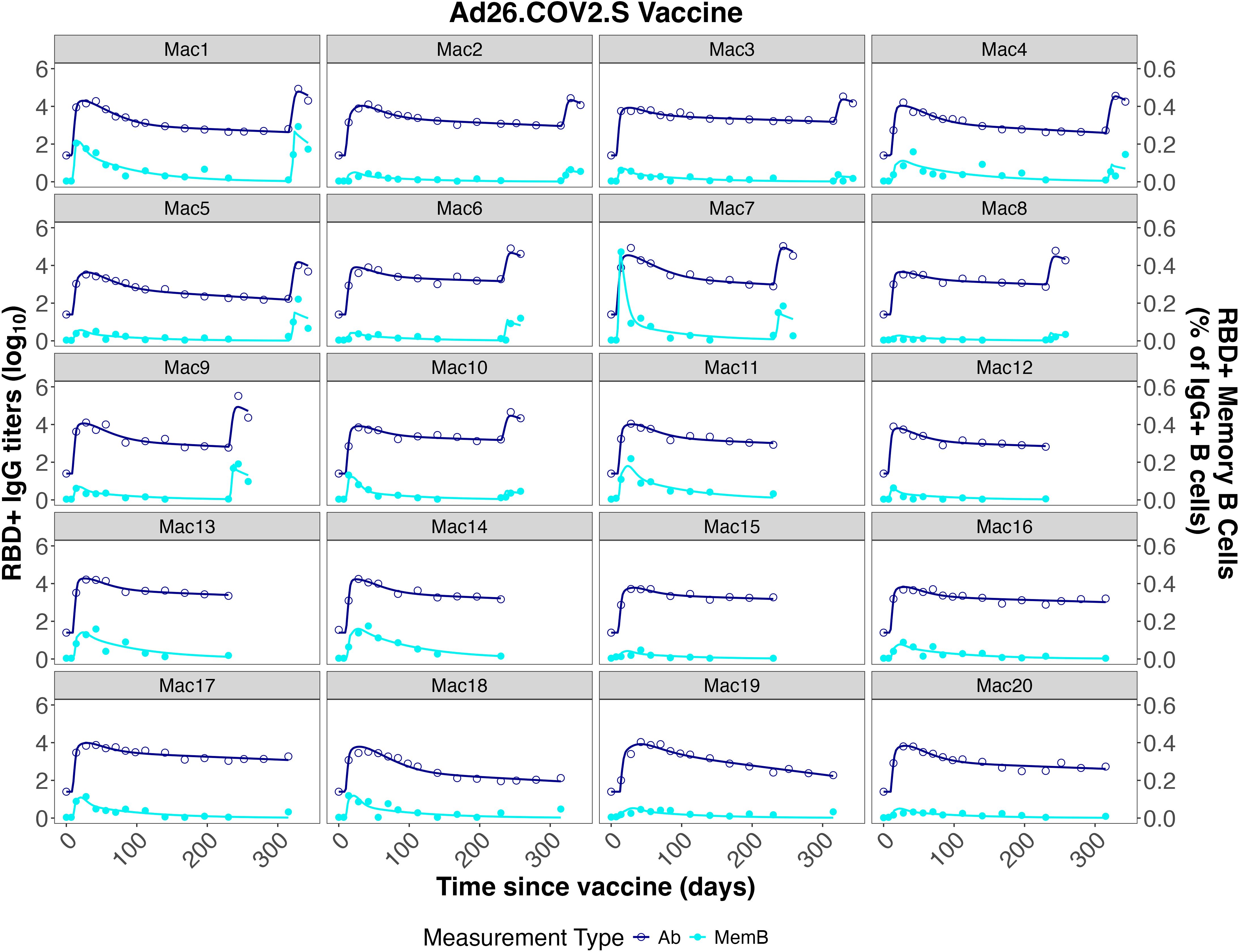Graphs depicting the response to the Ad26.COV2.S vaccine over time across 20 subjects. Each panel shows circulating RBD+ IgG titers and RBD+ memory B cell percentages over 300 days. Antibody levels gradually decline after an initial rise, with memory B cells maintaining lower, steady levels.