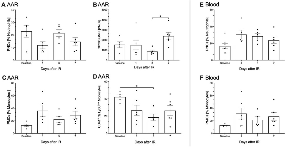 Bar charts showing immune cell populations over time after ischemia-reperfusion (IR) in both AAR and Blood samples. Panels A and E show percentage of neutrophils, while panels C and F show percentage of monocytes. Panel B displays CD206 GMFI in PNCs and panel D shows CD41+ Ly6C low monocytes in PNCs. Data points are presented for baseline, 1, 3, and 7 days post-IR. Statistical significance is marked in some panels.